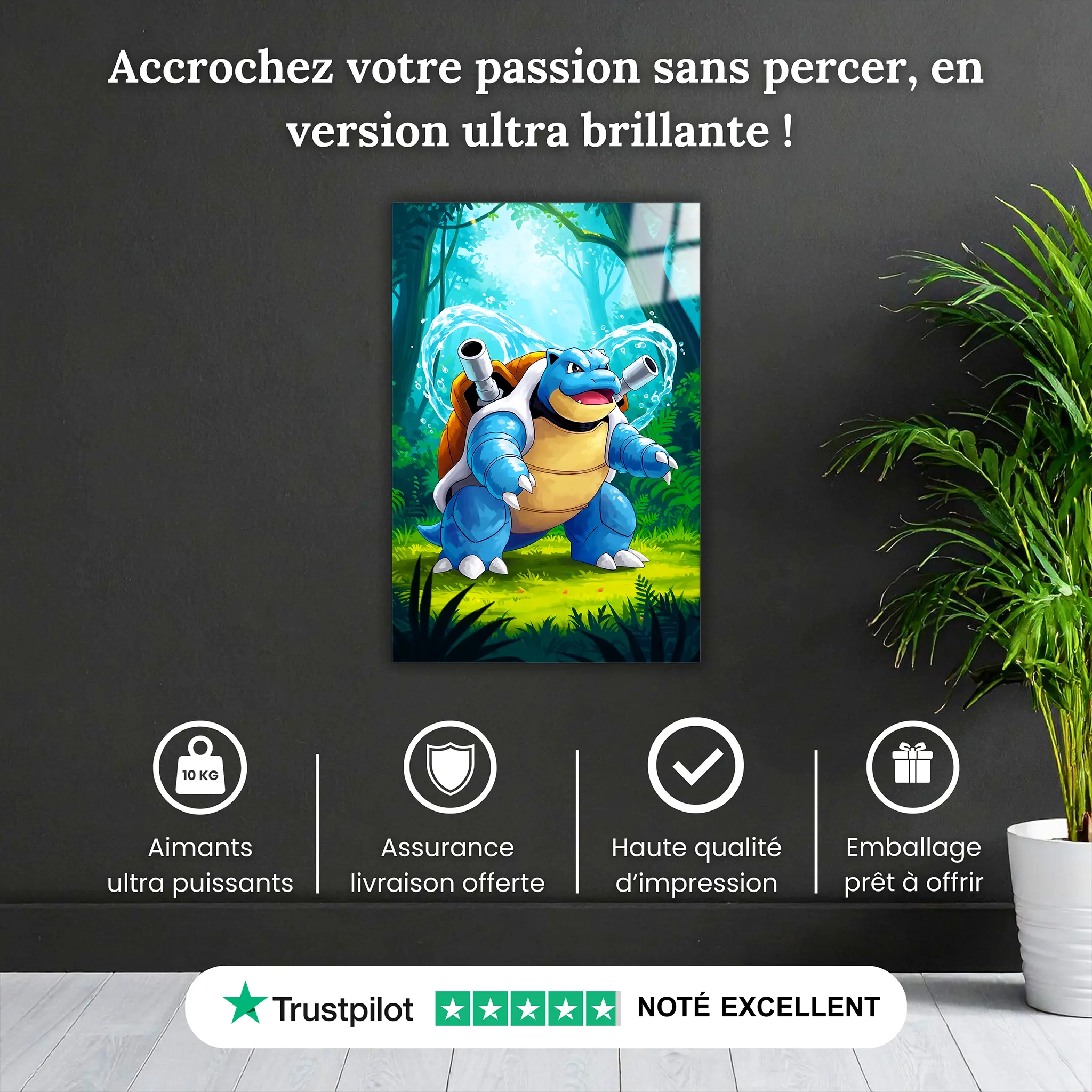 tableau-pokemon-tortank-nature-pourquoi-acheter | DreamWay