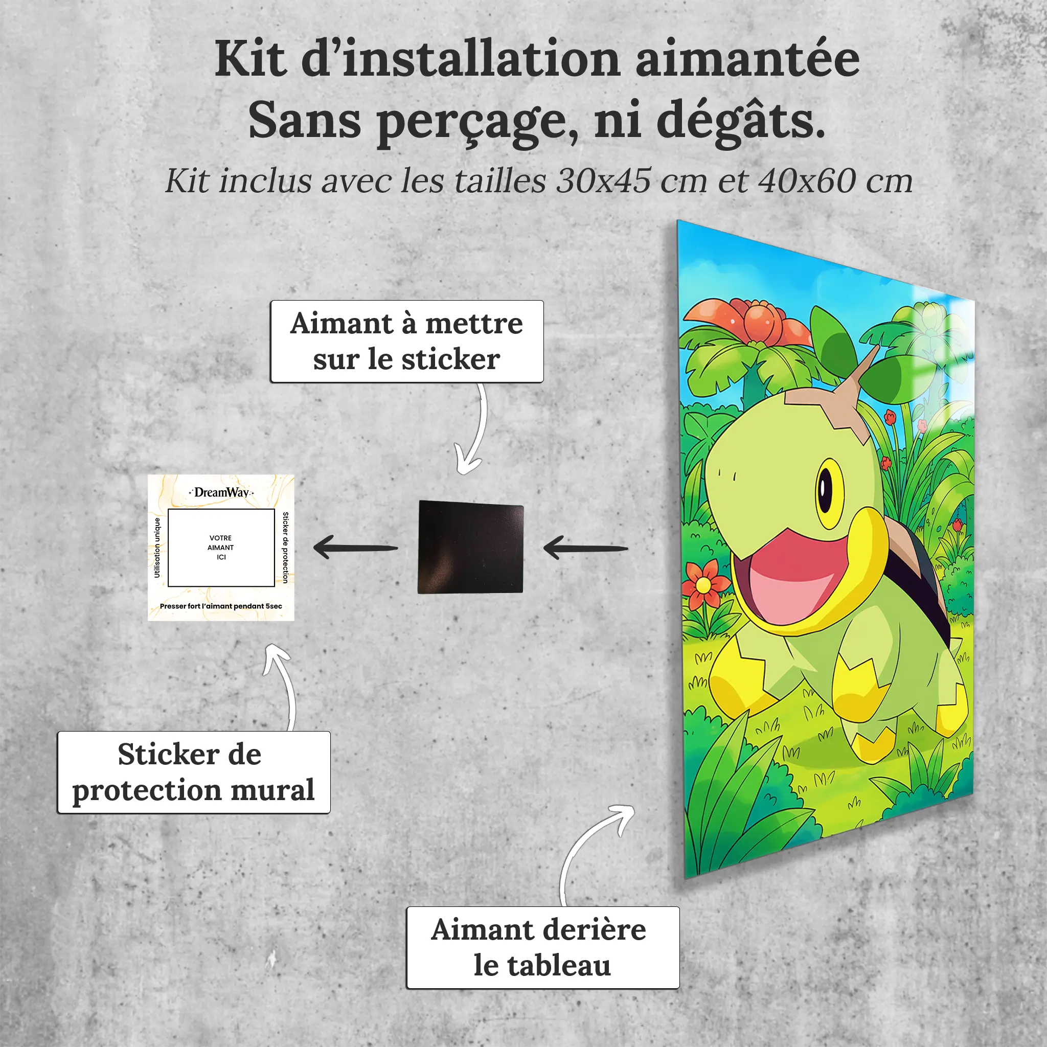 tableau-pokemon-tortipouss-avec-installation-aimantee | DreamWay