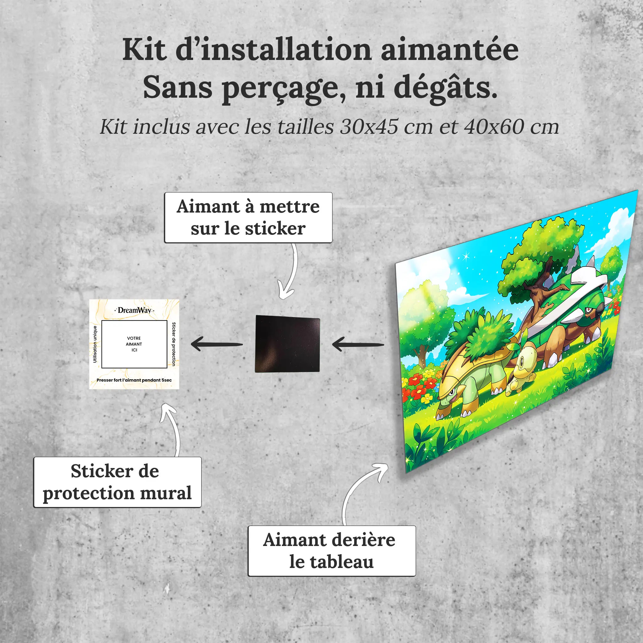 tableau-pokemon-tortipouss-et-ses-evolutions-avec-installation-aimantee | DreamWay