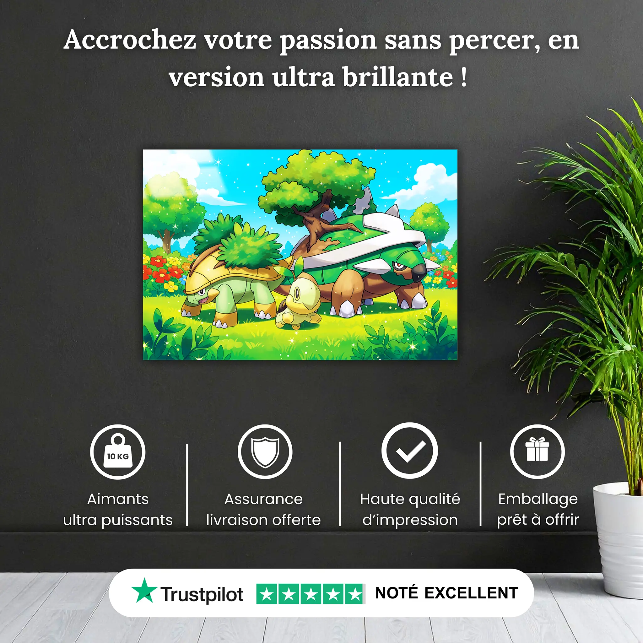 tableau-pokemon-tortipouss-et-ses-evolutions-pourquoi-acheter | DreamWay