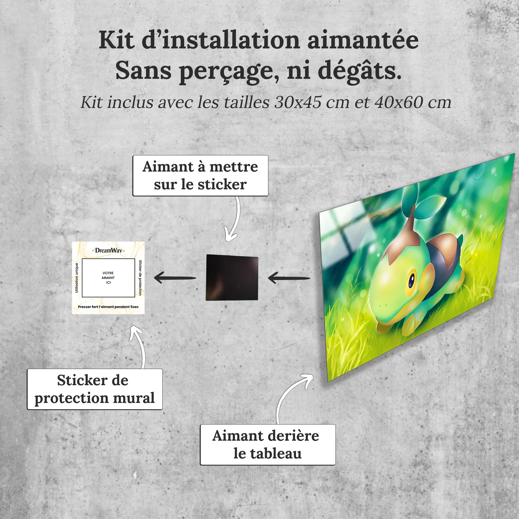tableau-pokemon-tortipouss-paysage-avec-installation-aimantee | DreamWay