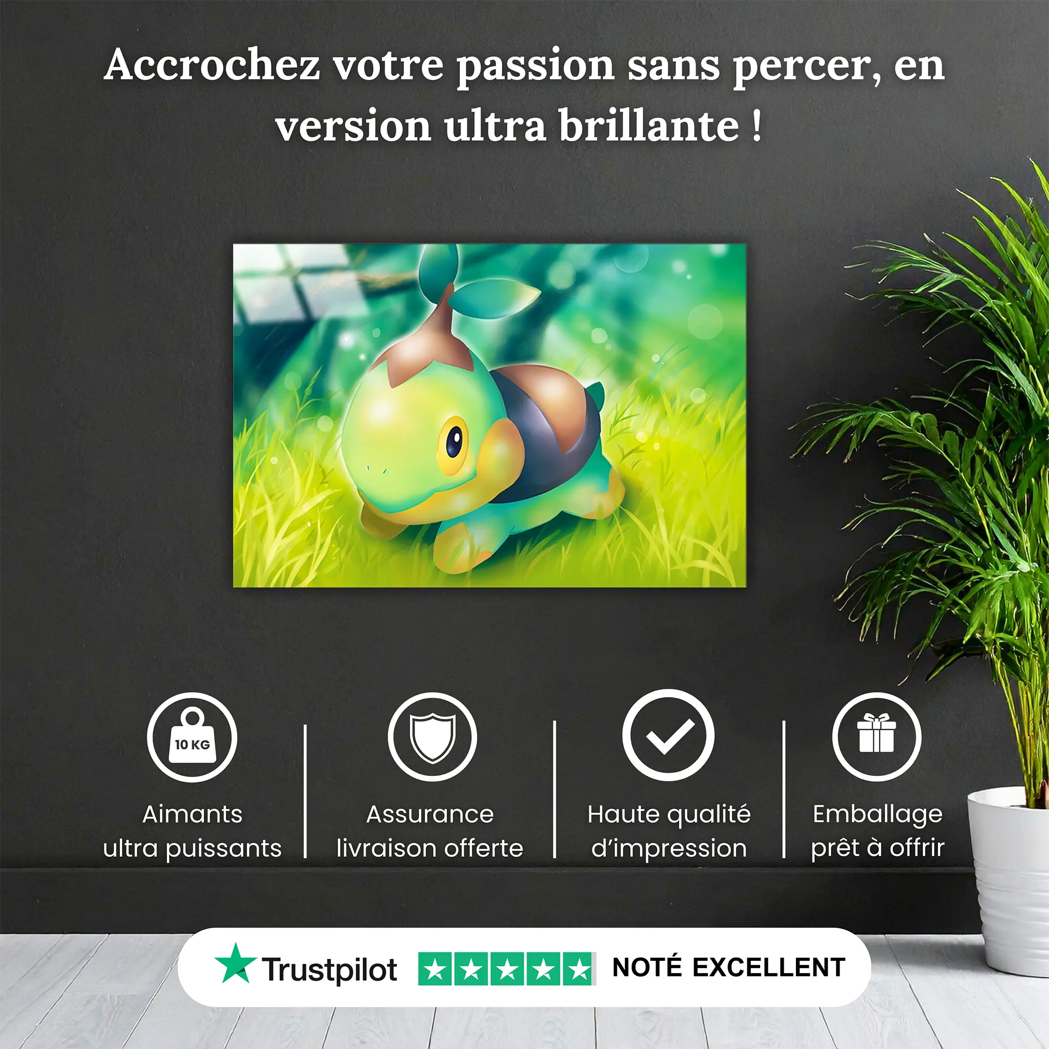 tableau-pokemon-tortipouss-paysage-pourquoi-acheter | DreamWay