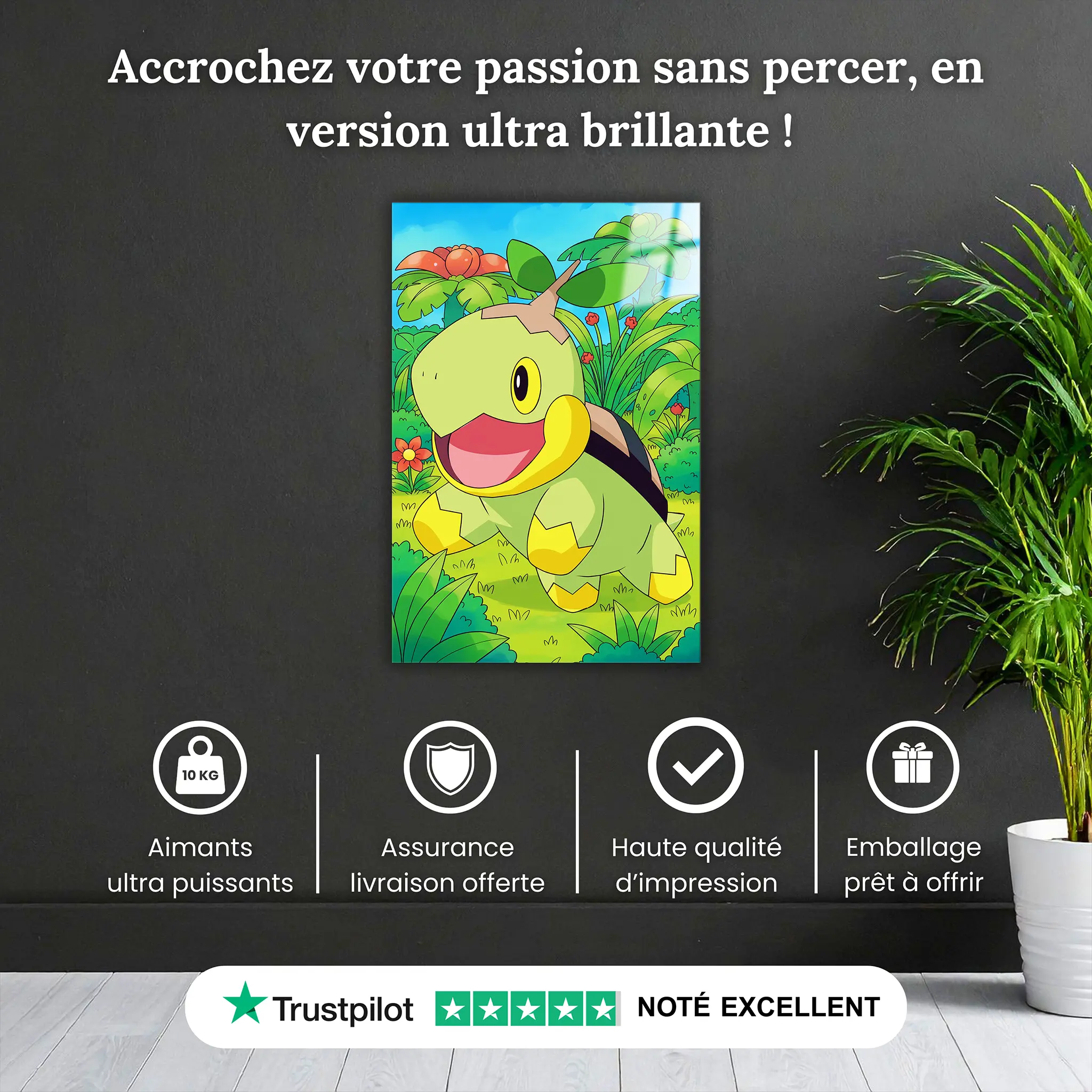 tableau-pokemon-tortipouss-pourquoi-acheter | DreamWay