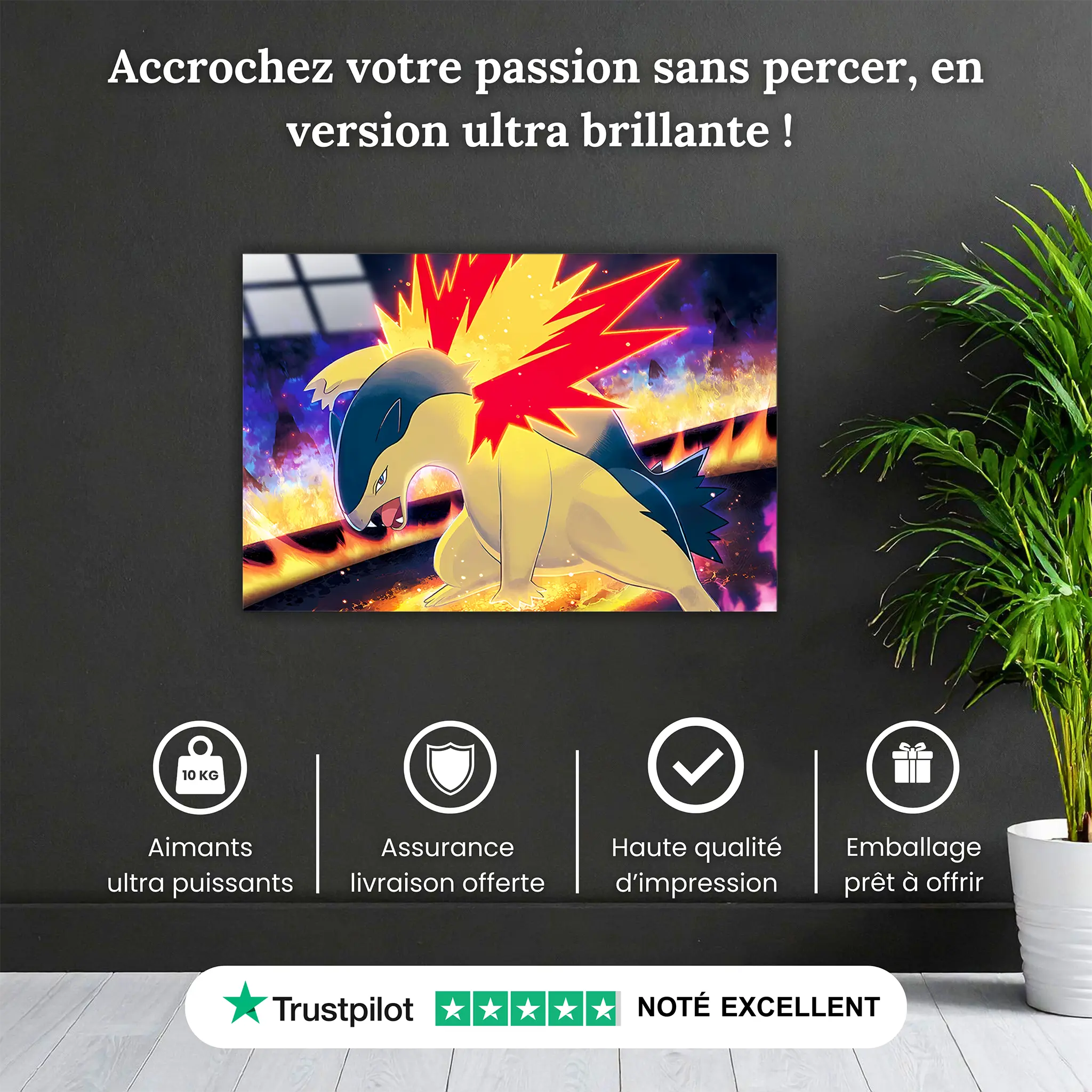 tableau-pokemon-typhlosion-attaque-pourquoi-acheter | DreamWay