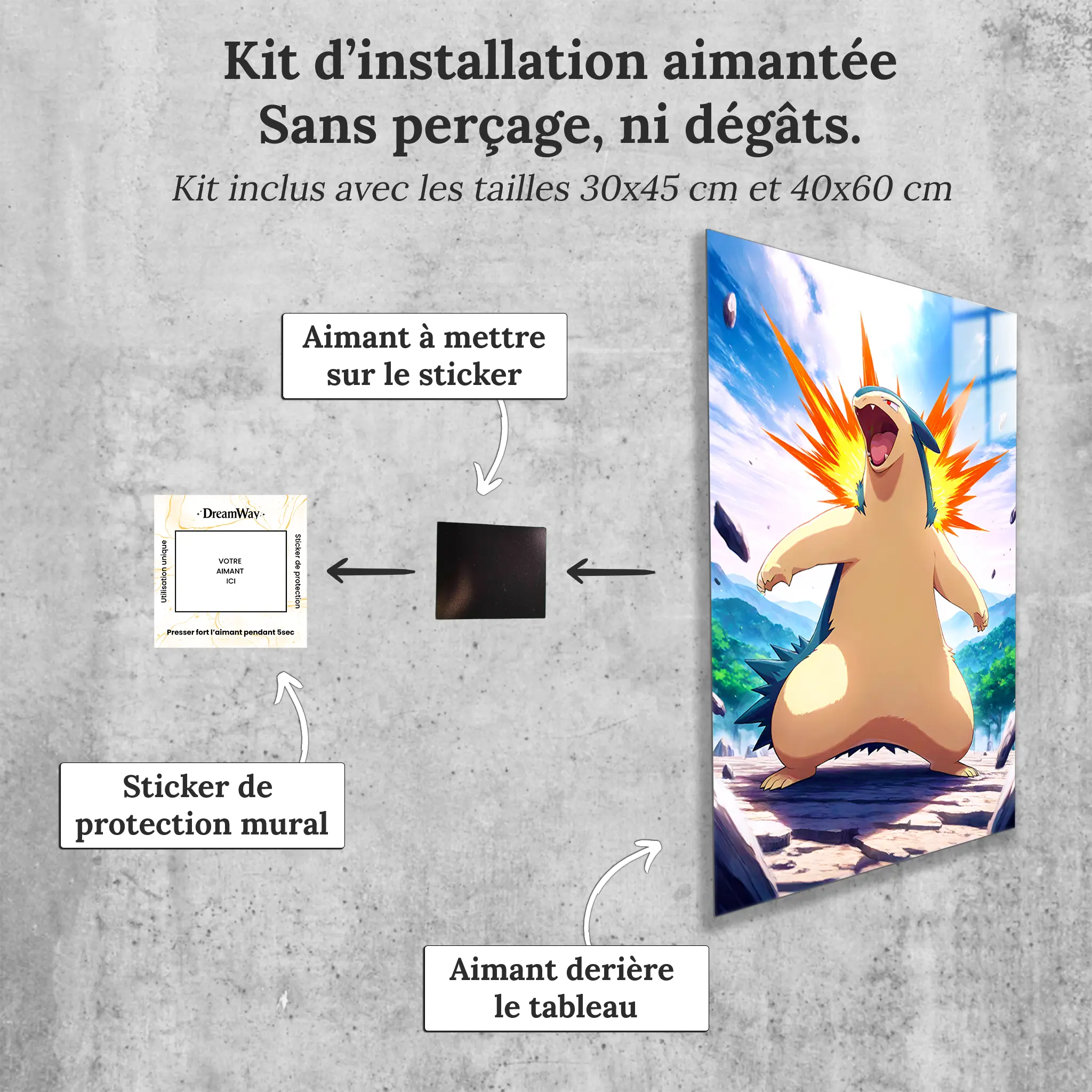 tableau-pokemon-typhlosion-avec-installation-aimantee | DreamWay