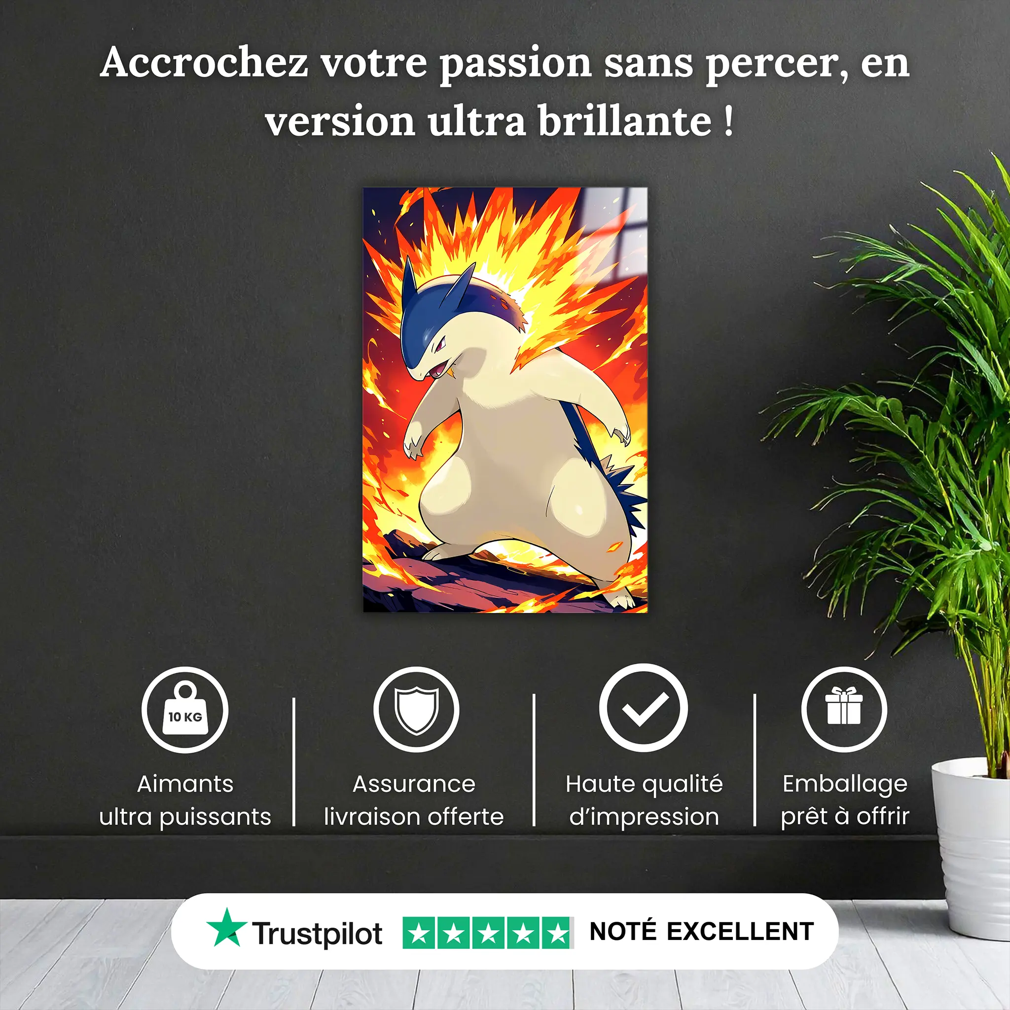 tableau-pokemon-typhlosion-enflamme-pourquoi-acheter | DreamWay
