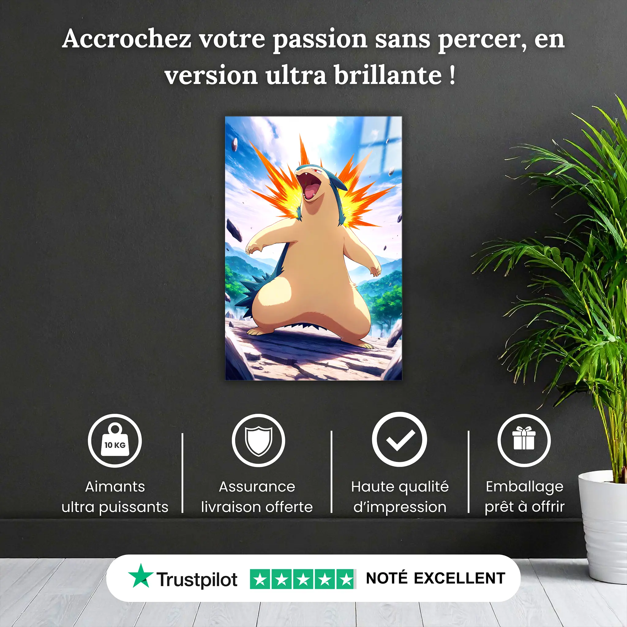 tableau-pokemon-typhlosion-pourquoi-acheter | DreamWay