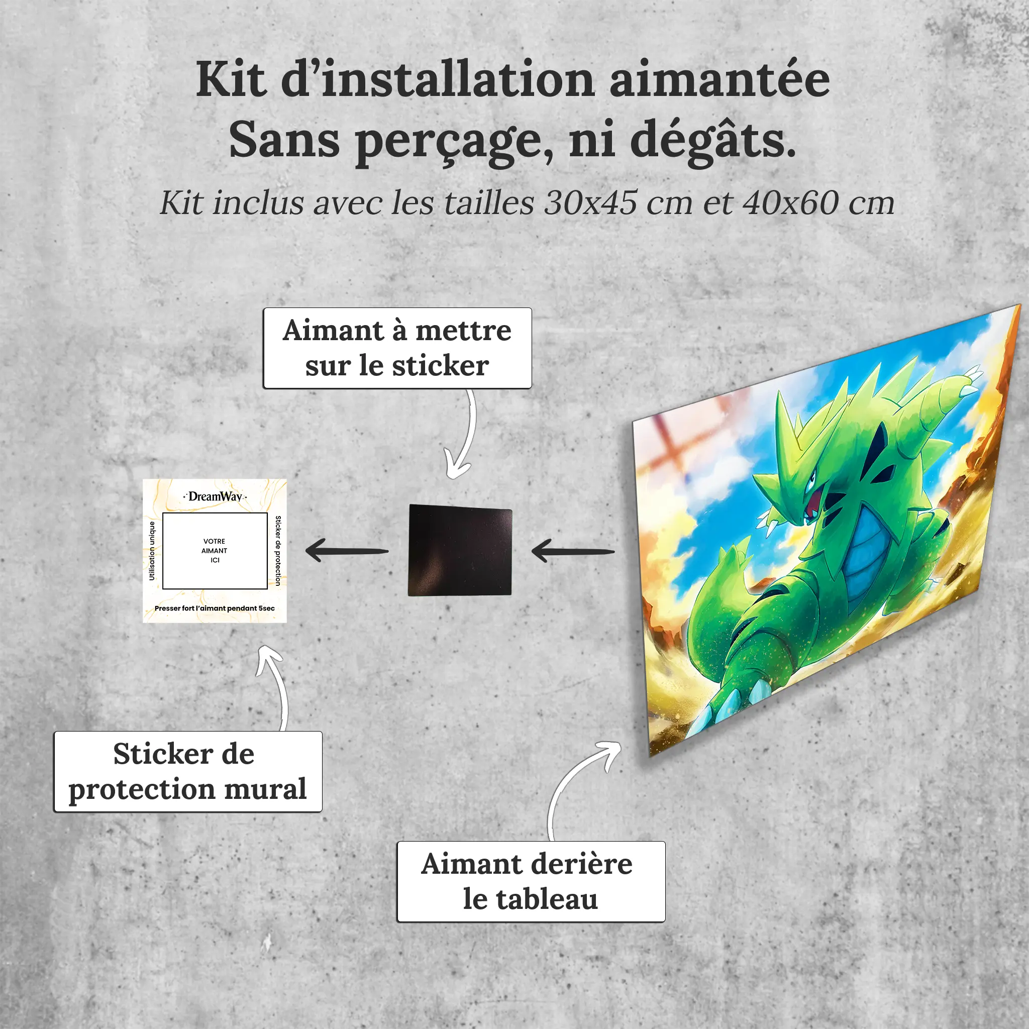 tableau-pokemon-tyranocif-attaque-avec-installation-aimantee | DreamWay