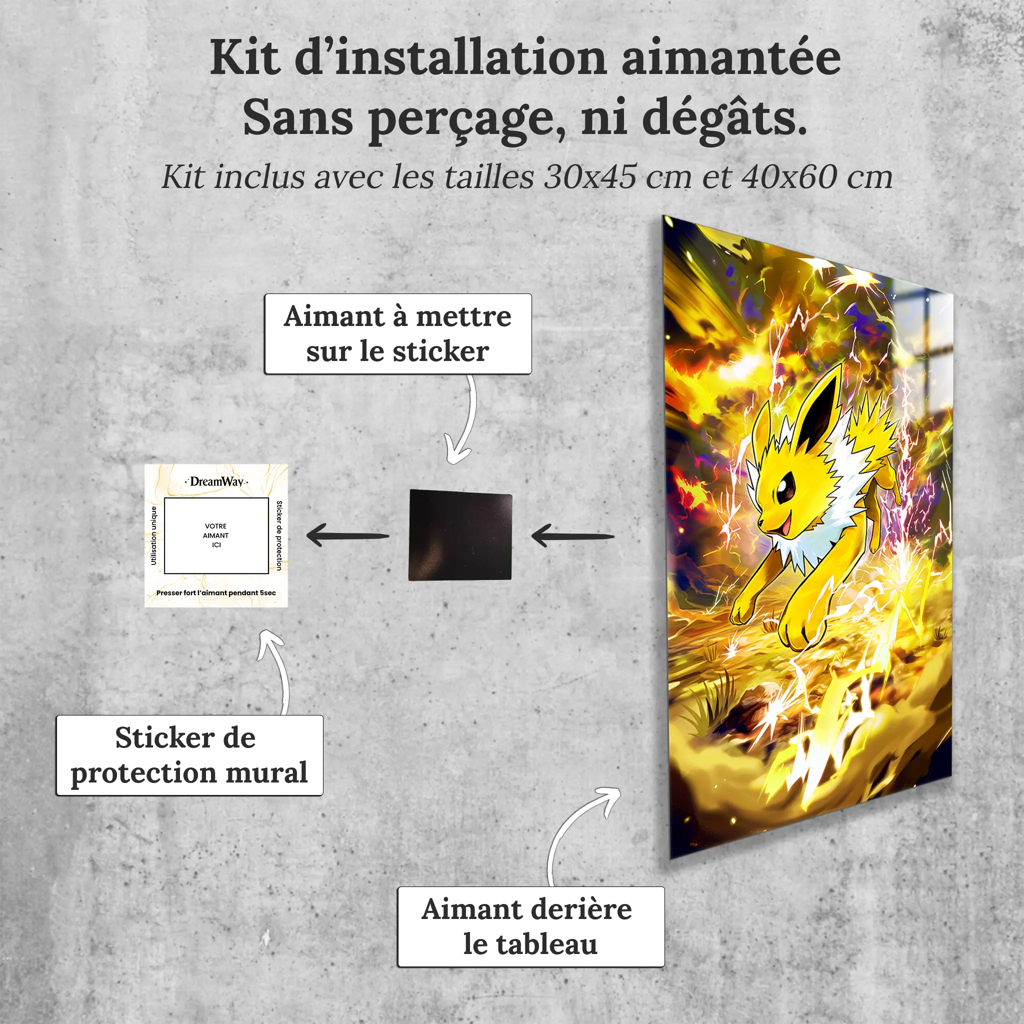 tableau-pokemon-voltali-lance-eclair-avec-installation-aimantee | DreamWay