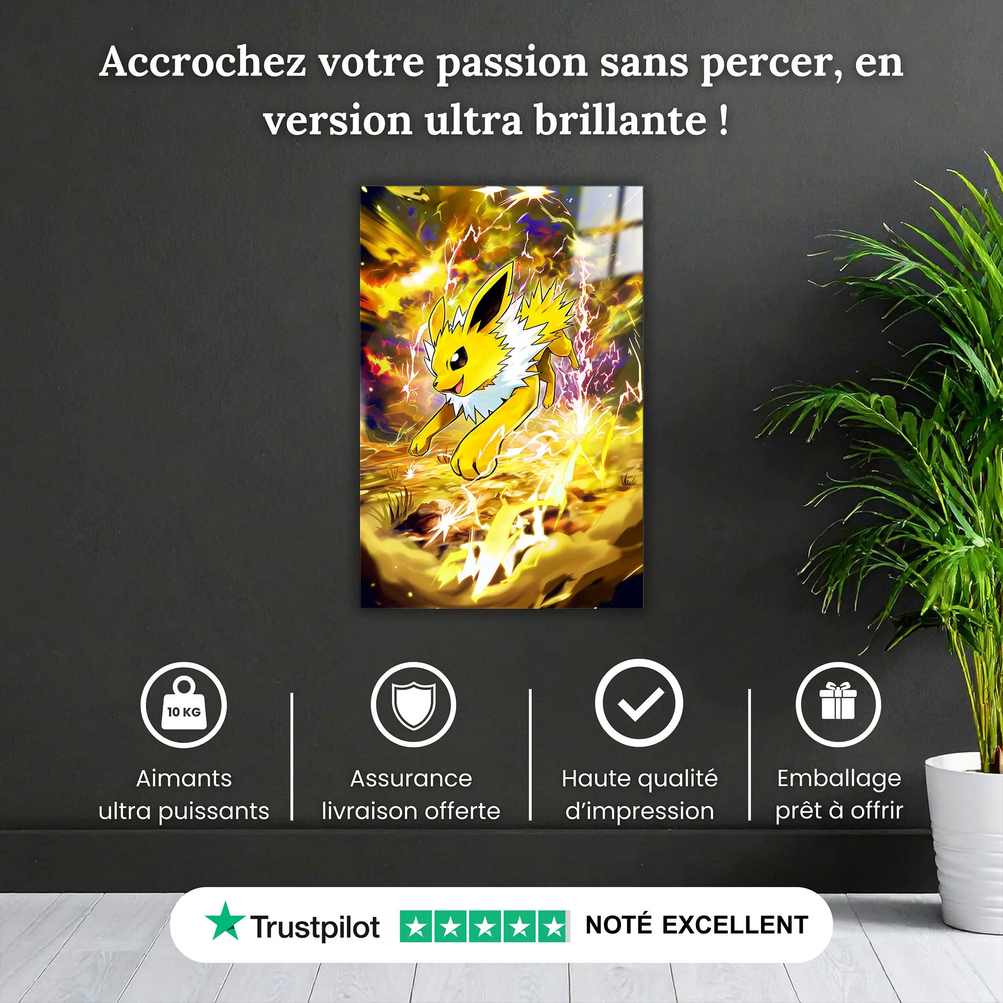 tableau-pokemon-voltali-lance-eclair-pourquoi-acheter | DreamWay