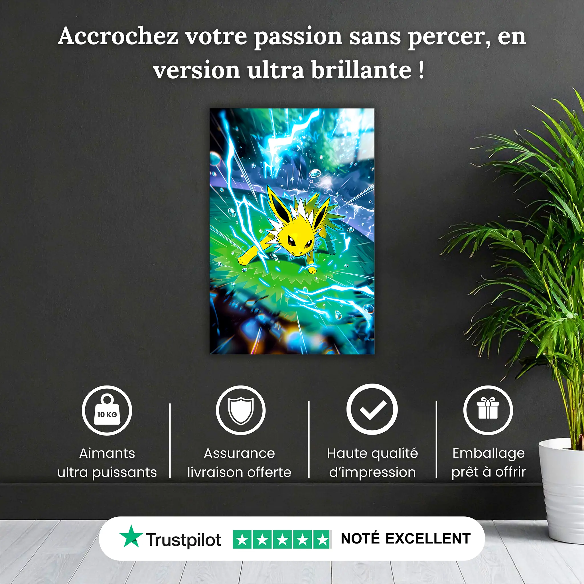 tableau-pokemon-voltali-attaque-pourquoi-acheter | DreamWay