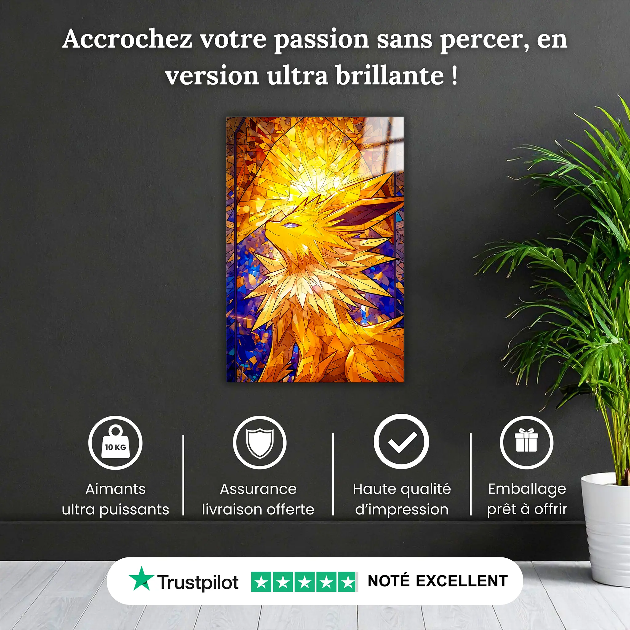 tableau-pokemon-voltali-vitrail-pourquoi-acheter | DreamWay