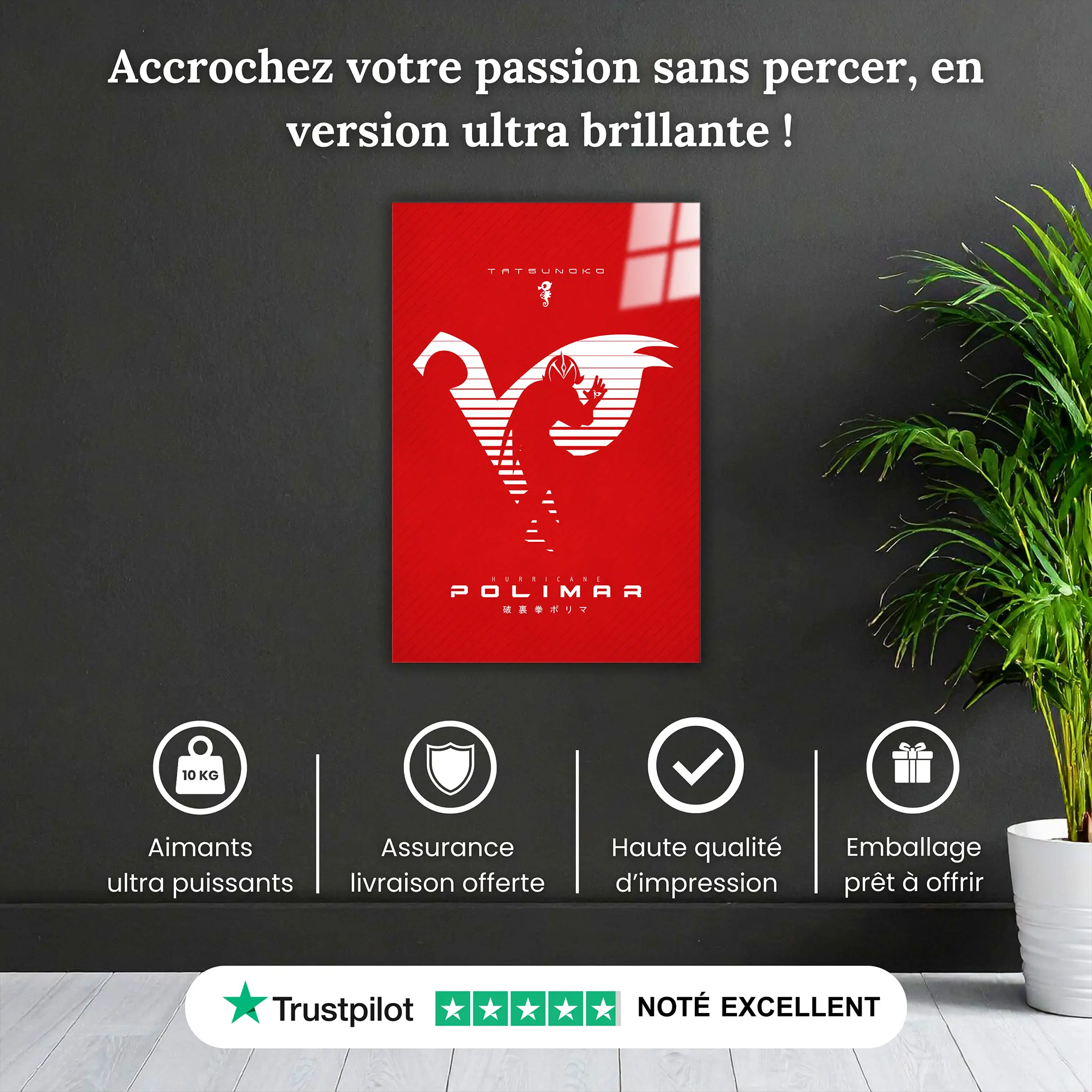 tableau-polimar-pourquoi-acheter | DreamWay
