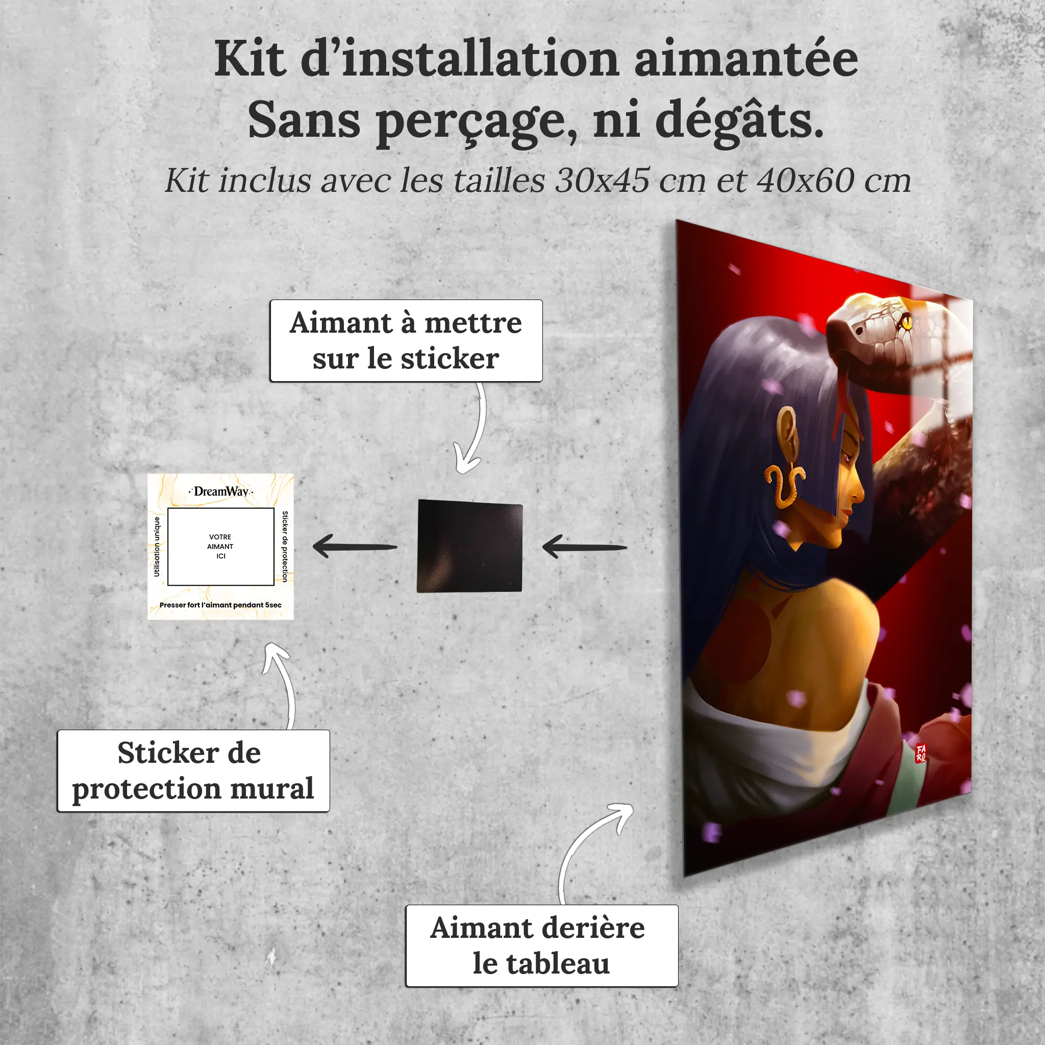 tableau-portrait-boa-hancock-avec-installation-aimantee | DreamWay