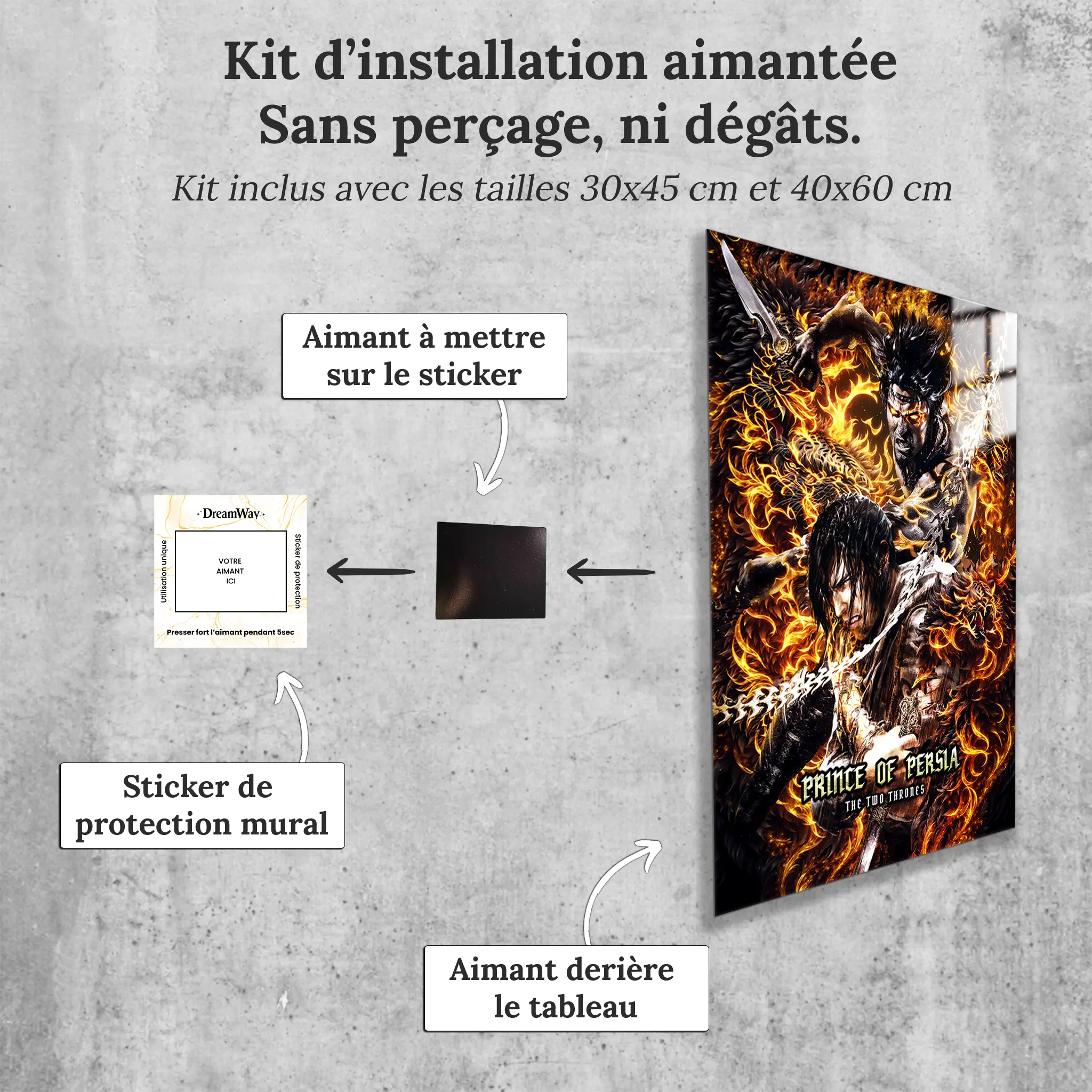 tableau-prince-of-persia-3-les-deux-royaumes-avec-installation-aimantee | DreamWay