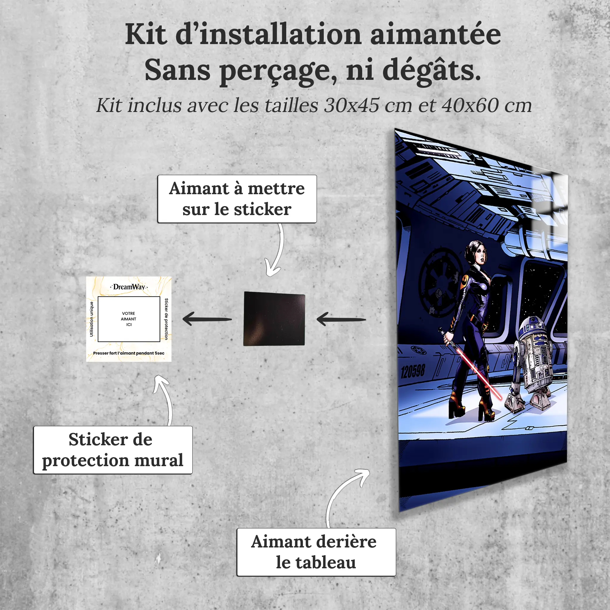 tableau-princesse-leia-avec-installation-aimantee | DreamWay