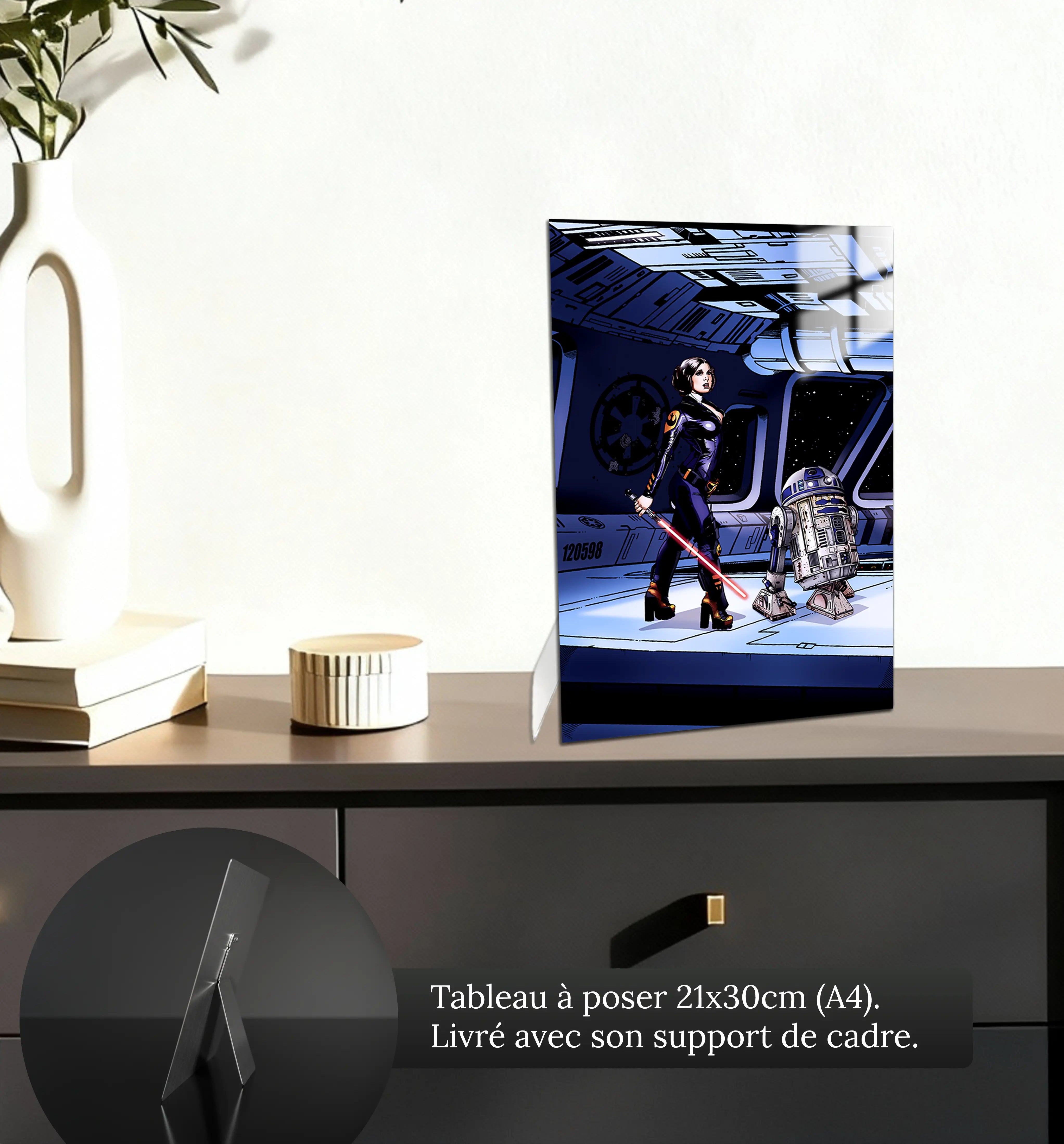 tableau-princesse-leia-petit-format-a-poser-sur-meuble | DreamWay