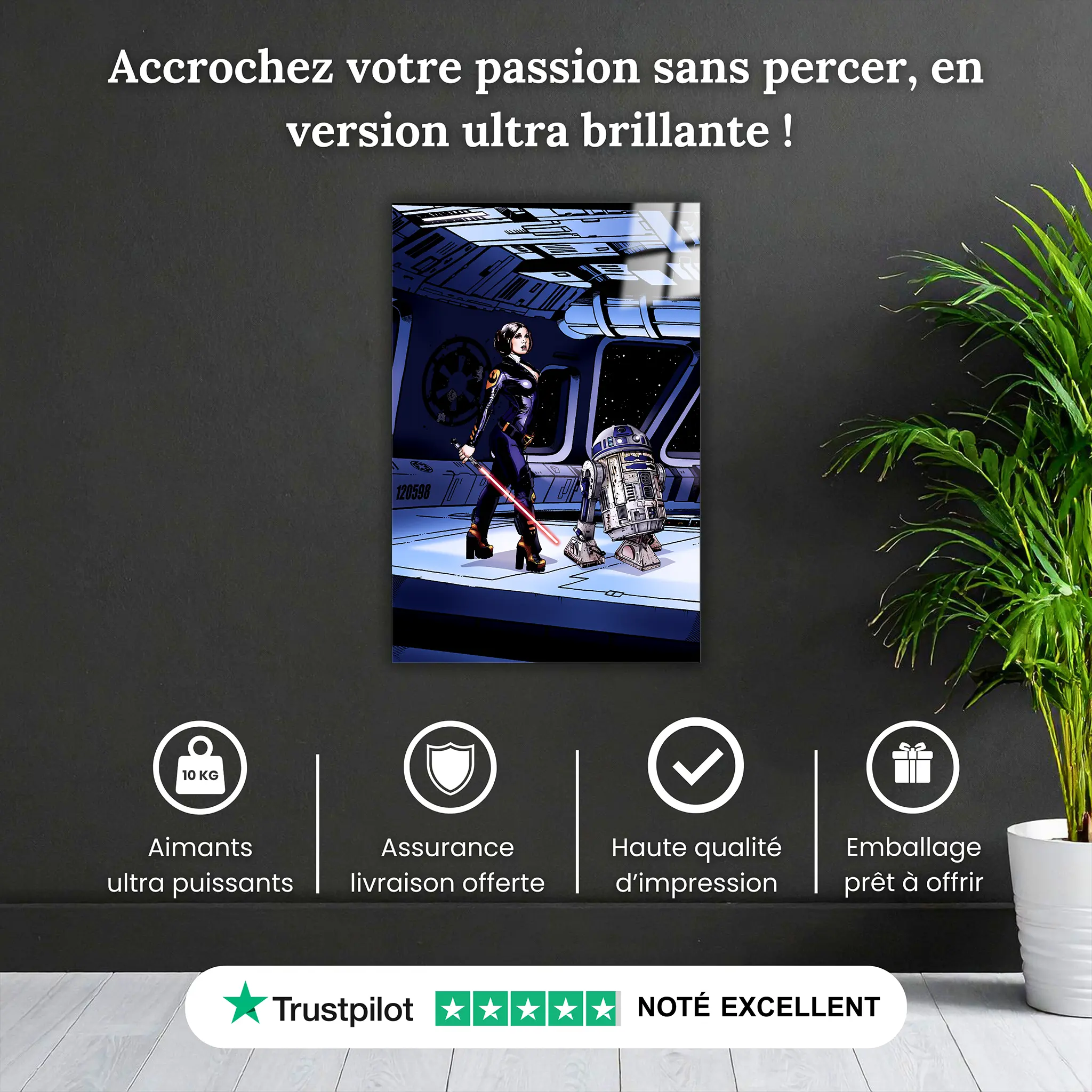 tableau-princesse-leia-pourquoi-acheter | DreamWay