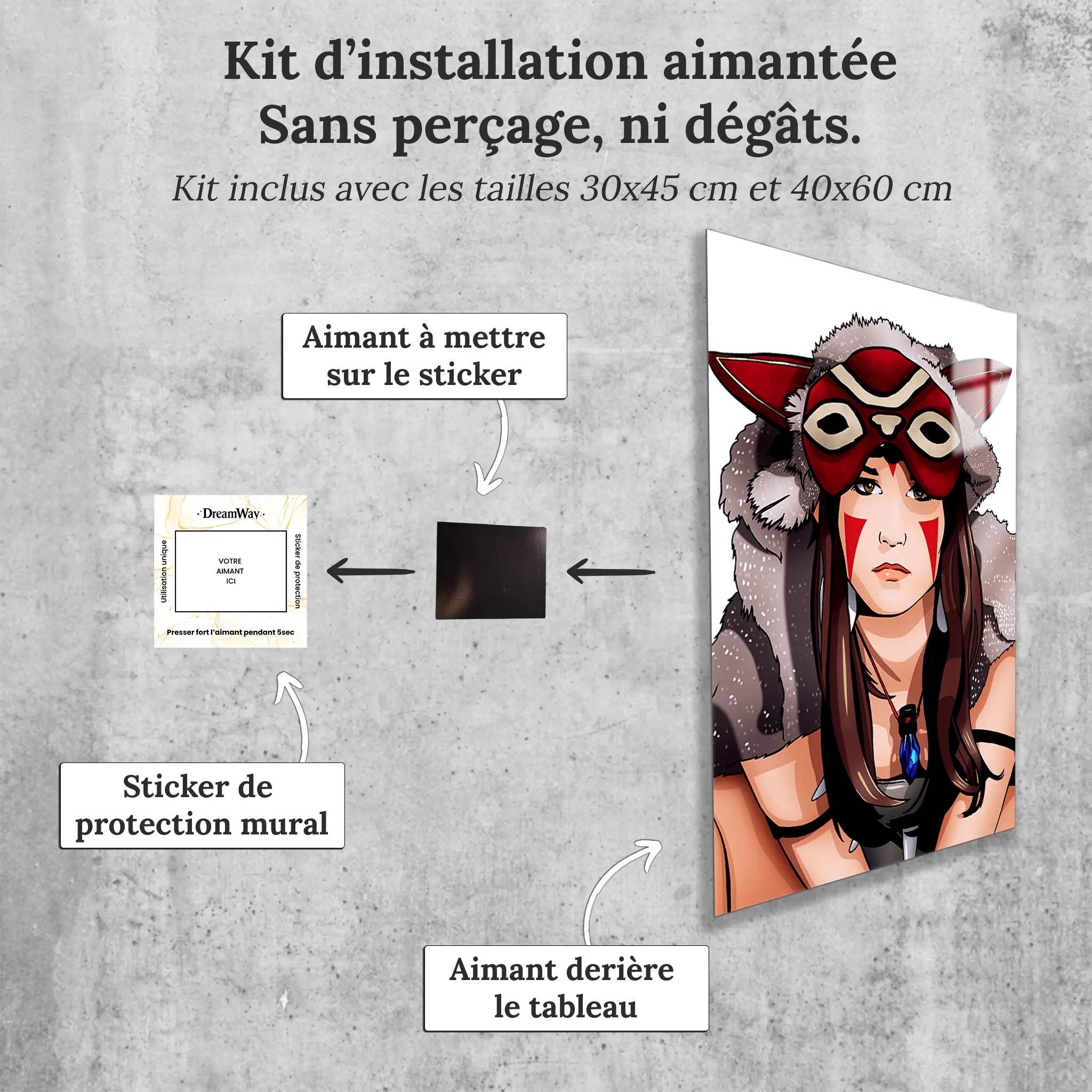 tableau-princesse-mononoke-avec-installation-aimantee | DreamWay