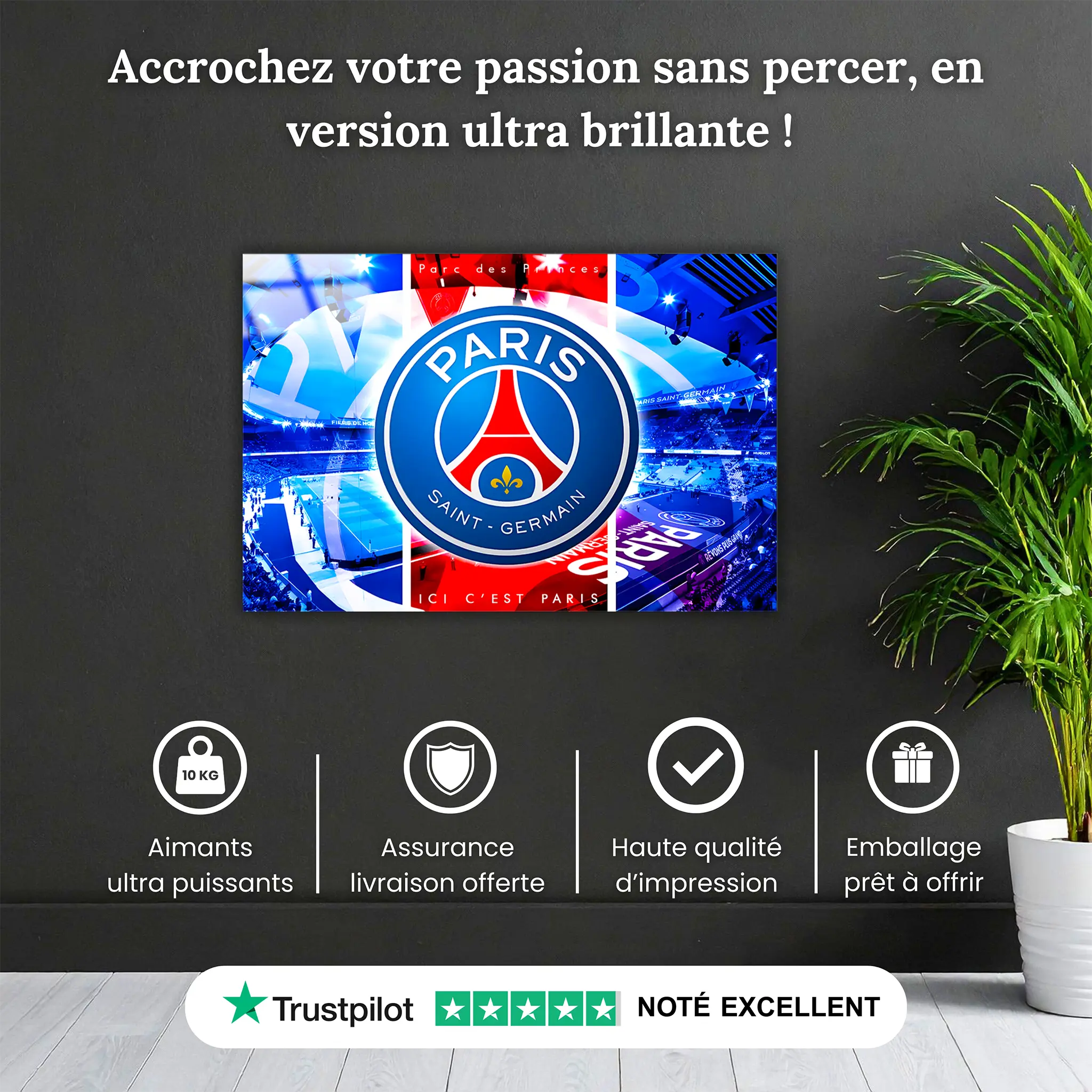tableau-psg-parc-des-princes-pourquoi-acheter | DreamWay