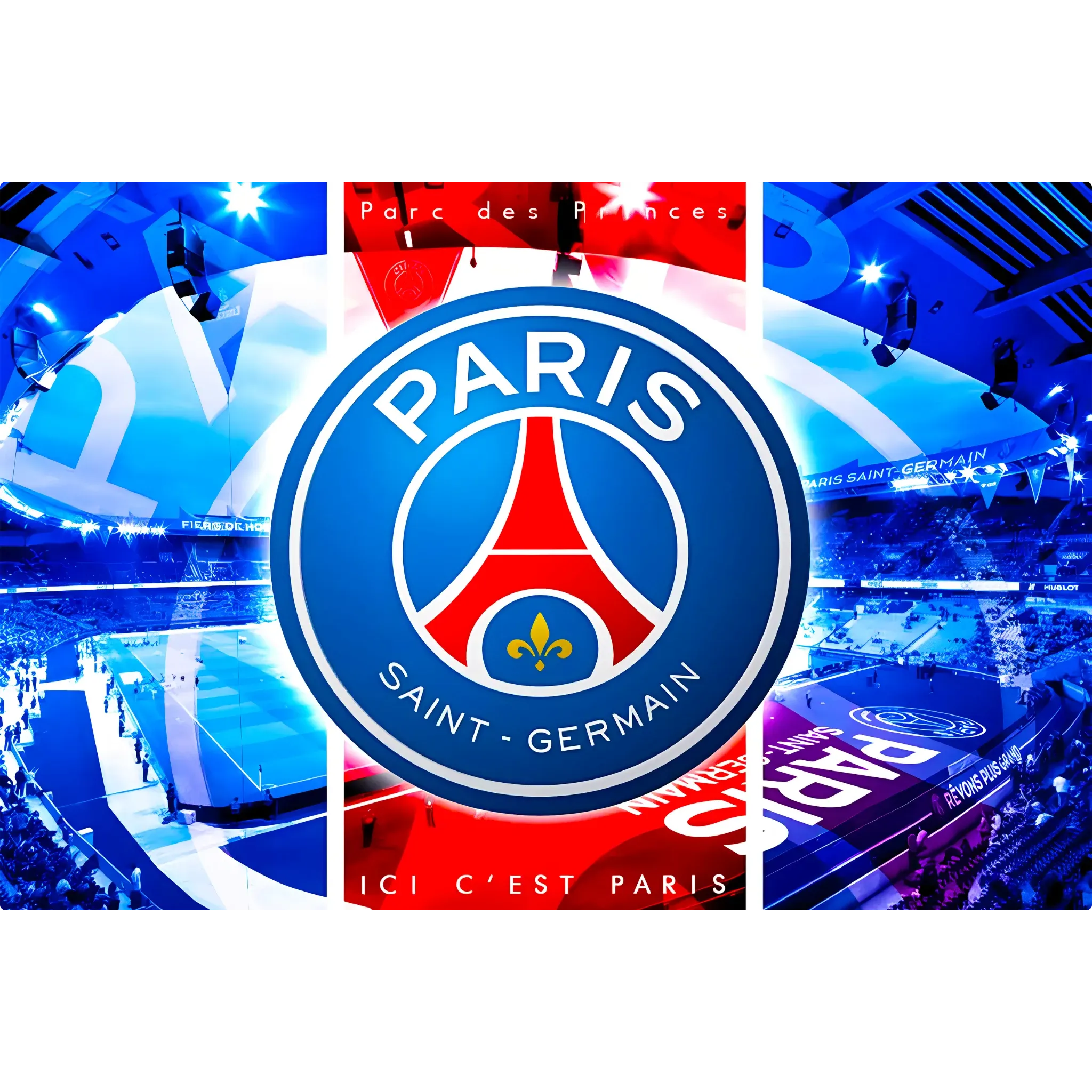 Tableau PSG Parc Des Princes