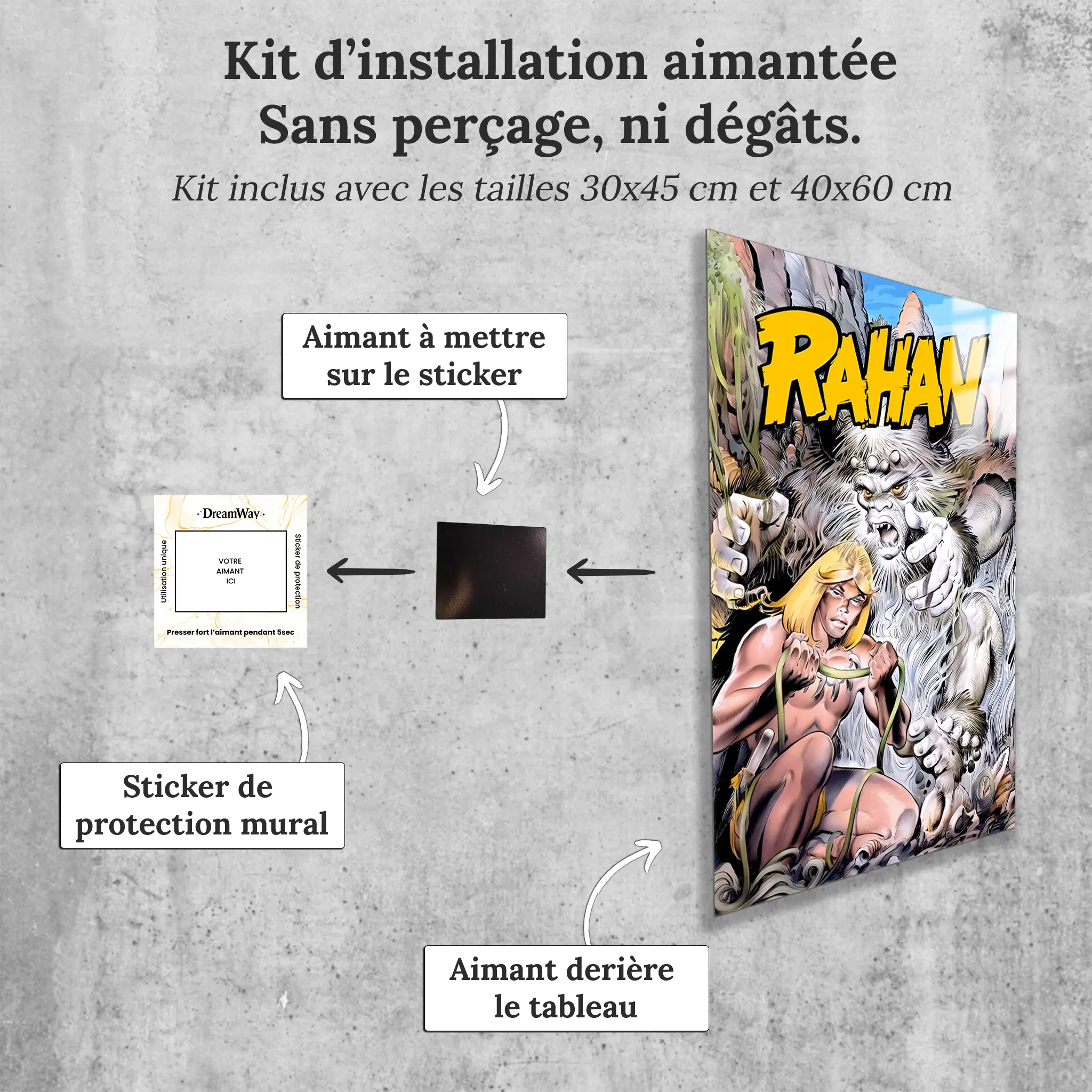 tableau-rahan-la-liane-magique-avec-installation-aimantee | DreamWay