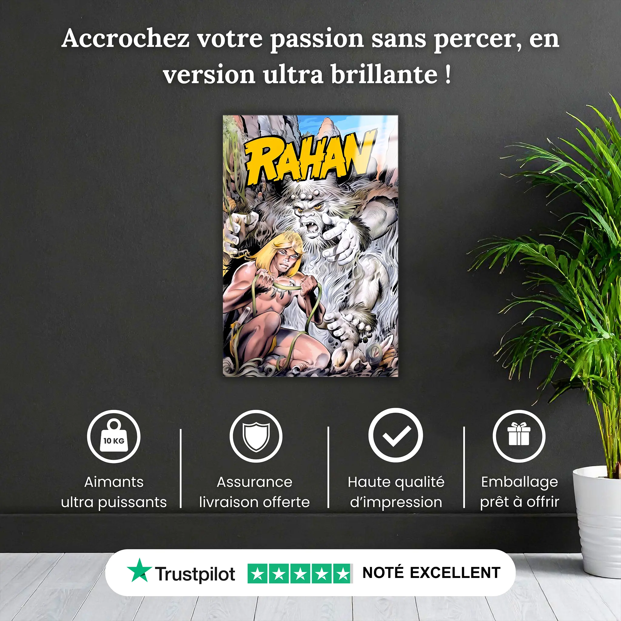 tableau-rahan-la-liane-magique-pourquoi-acheter | DreamWay