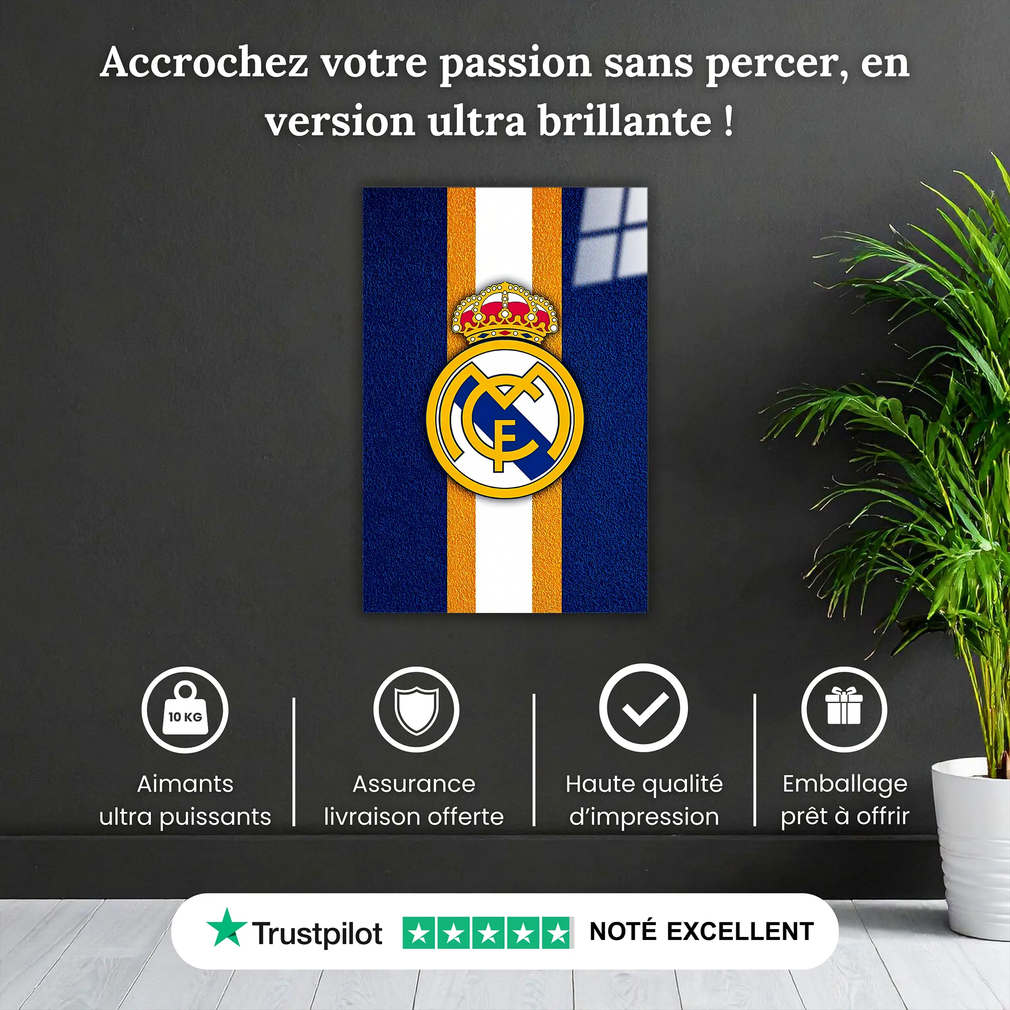 tableau-real-madrid-club-pourquoi-acheter | DreamWay