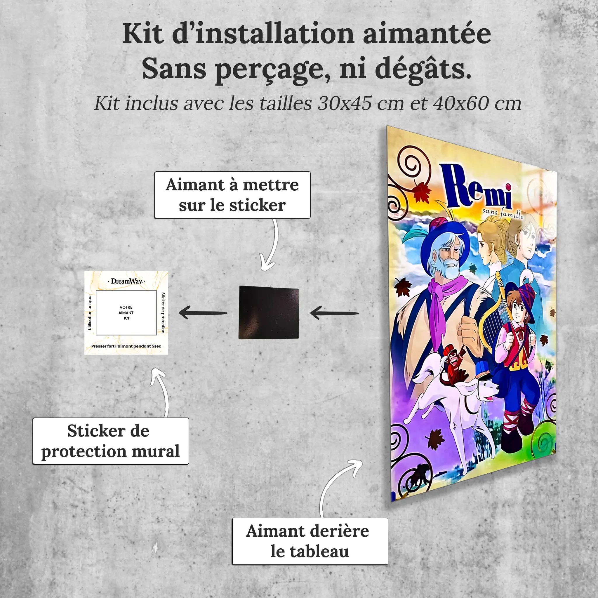 tableau-remi-sans-famille-affiche-avec-installation-aimantee | DreamWay