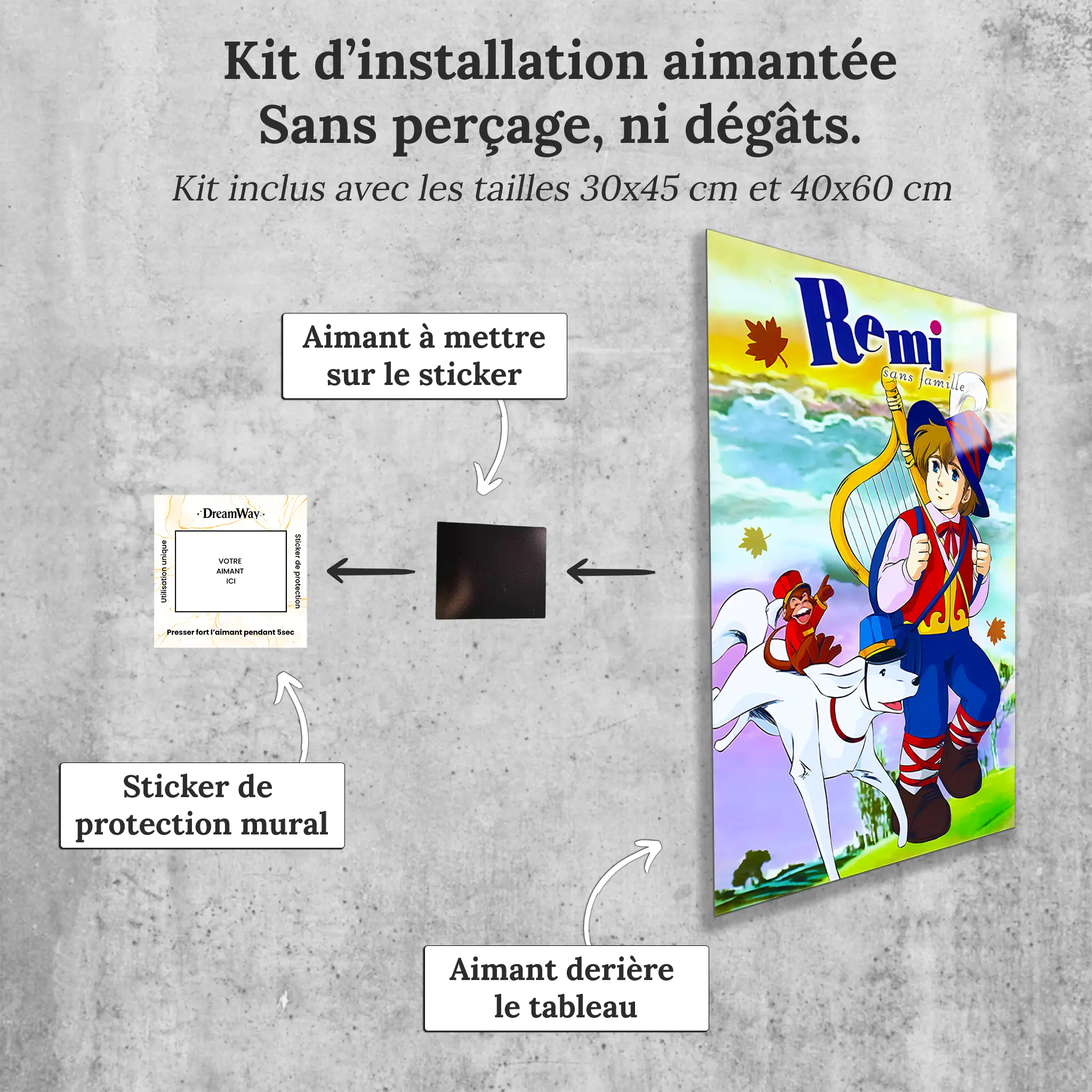 tableau-remi-sans-famille-capi-et-joli-coeur-avec-installation-aimantee | DreamWay