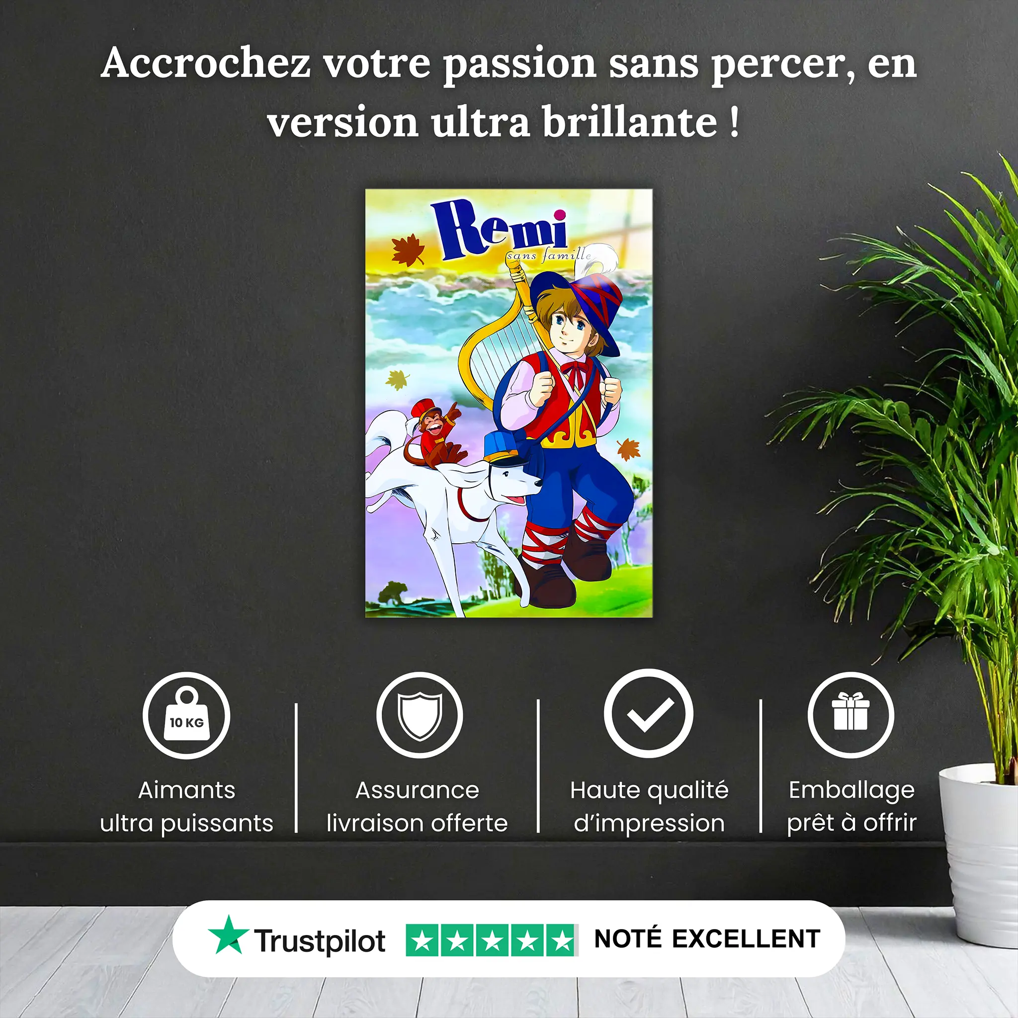 tableau-remi-sans-famille-capi-et-joli-coeur-pourquoi-acheter | DreamWay