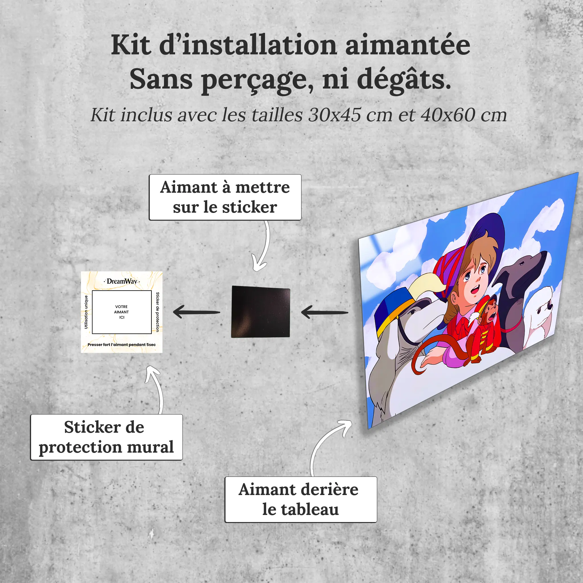 tableau-remi-sans-famille-et-ses-amis-les-animaux-avec-installation-aimantee | DreamWay