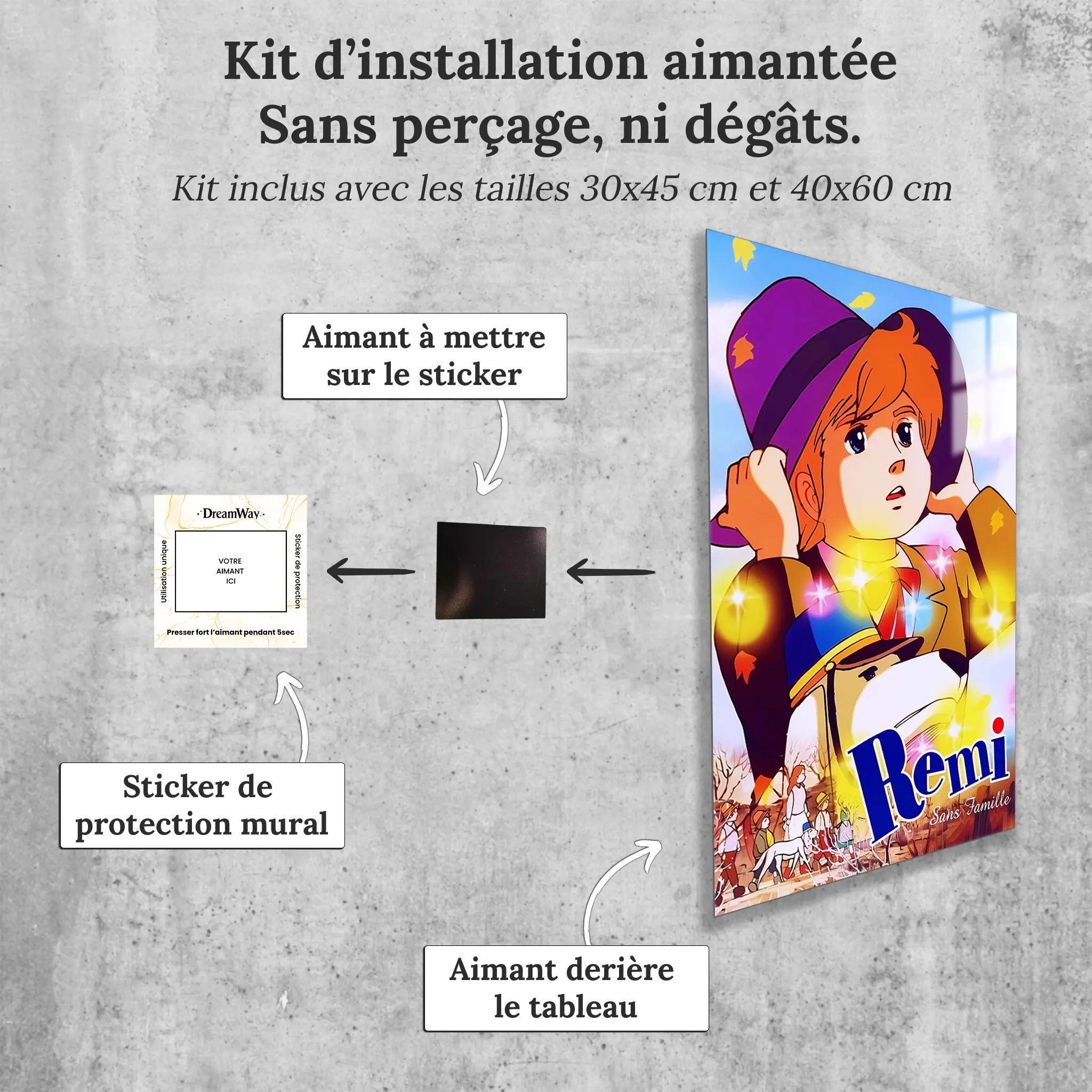 tableau-remi-sans-famille-portrait-avec-installation-aimantee | DreamWay