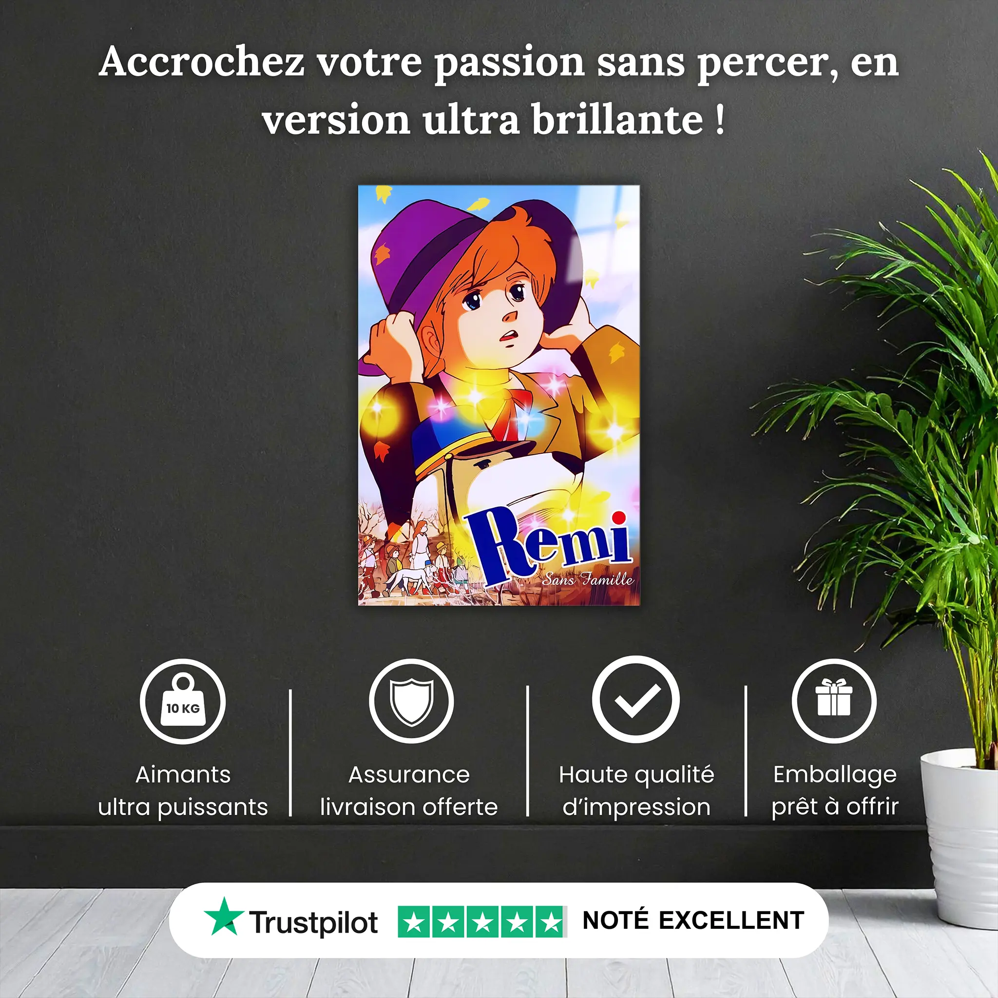 tableau-remi-sans-famille-portrait-pourquoi-acheter | DreamWay