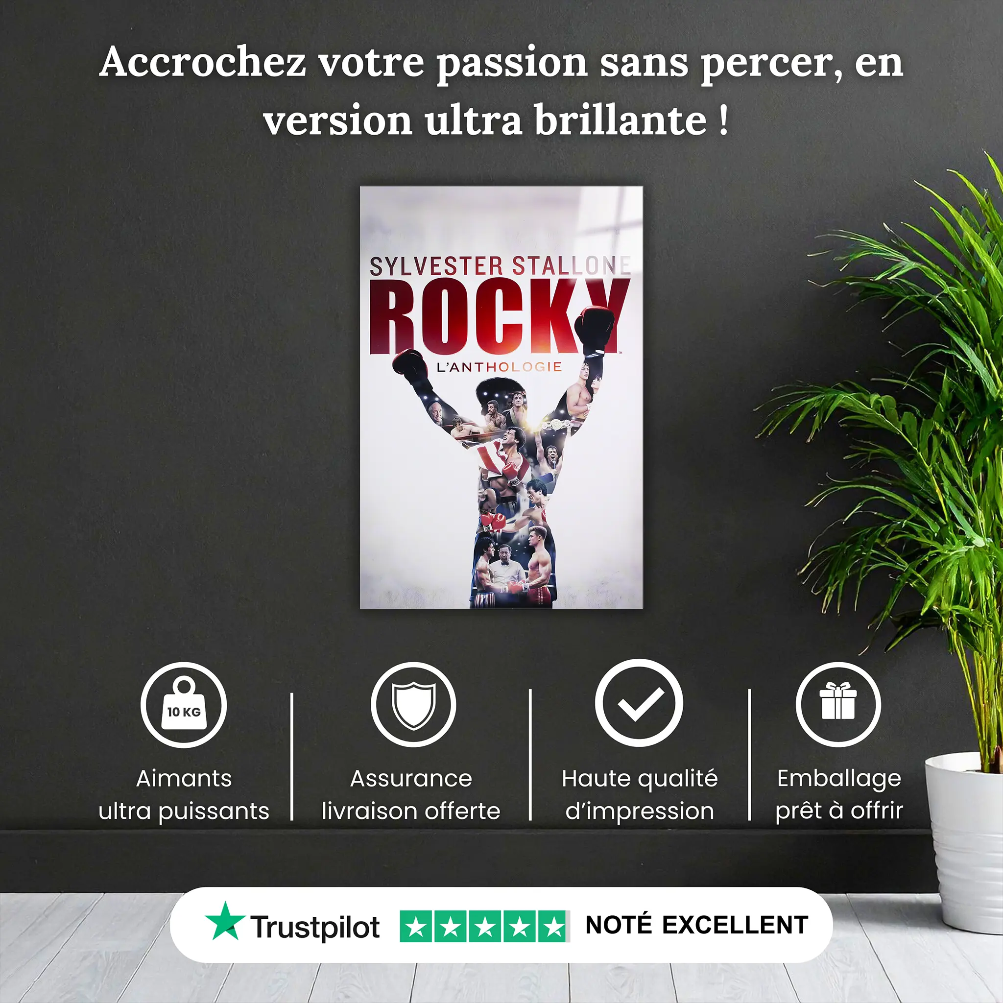 Tableau Rocky Affiche