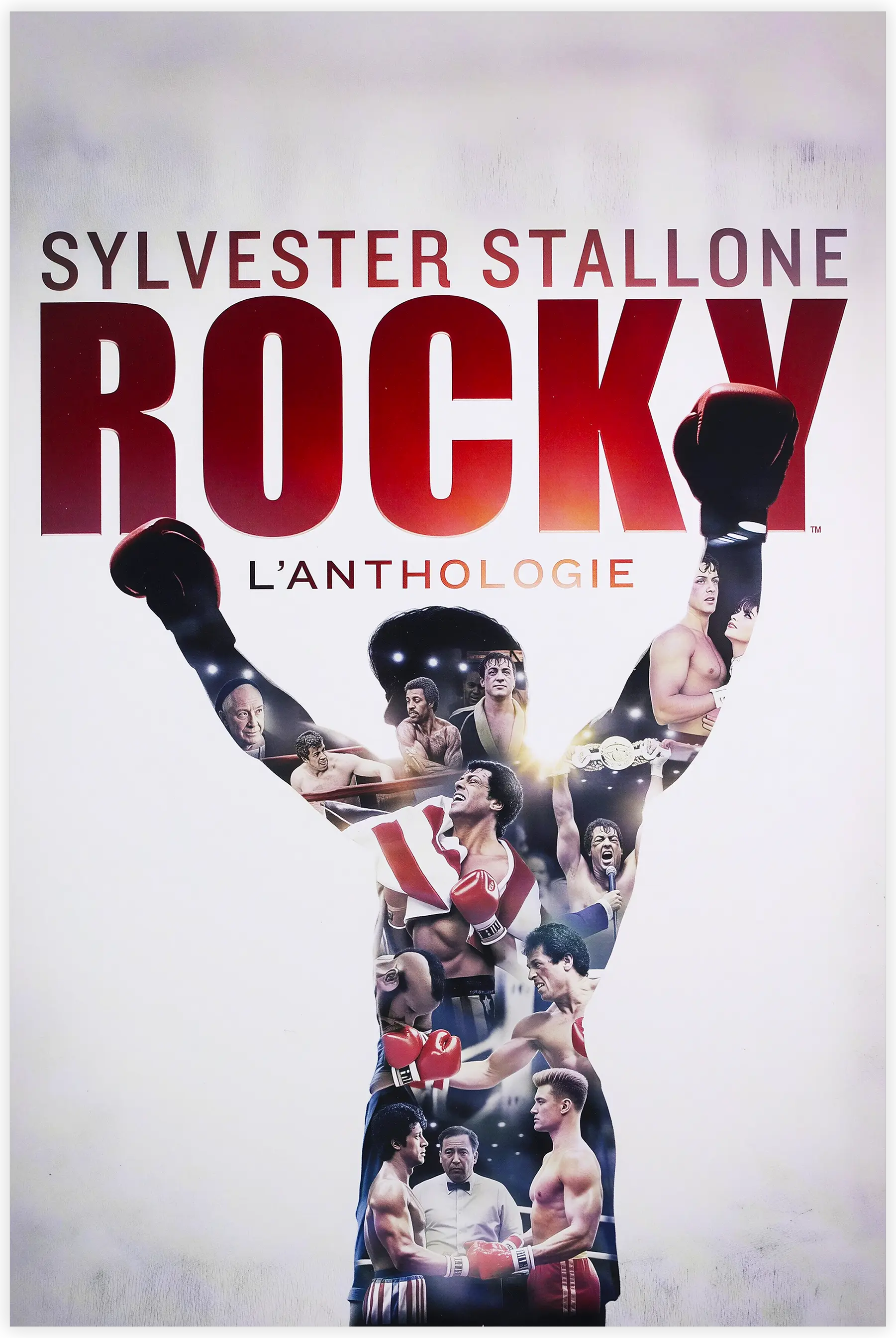 Tableau Rocky Affiche