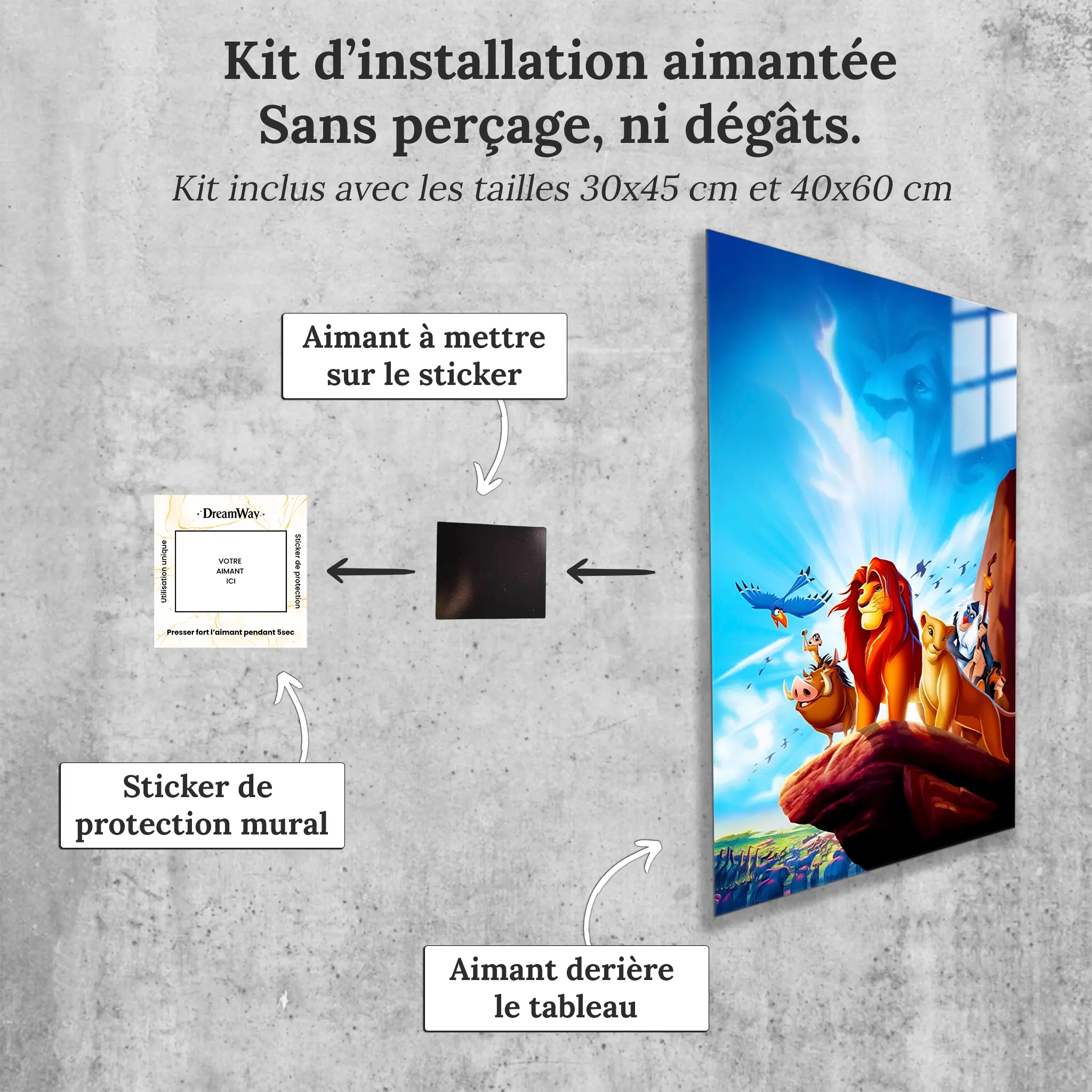 tableau-roi-lion-sur-la-falaise-avec-installation-aimantee | DreamWay