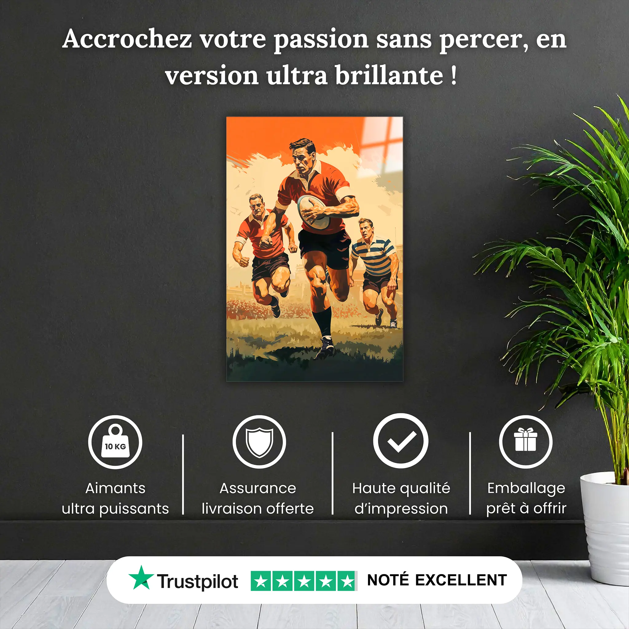 tableau-rugby-vintage-pourquoi-acheter | DreamWay