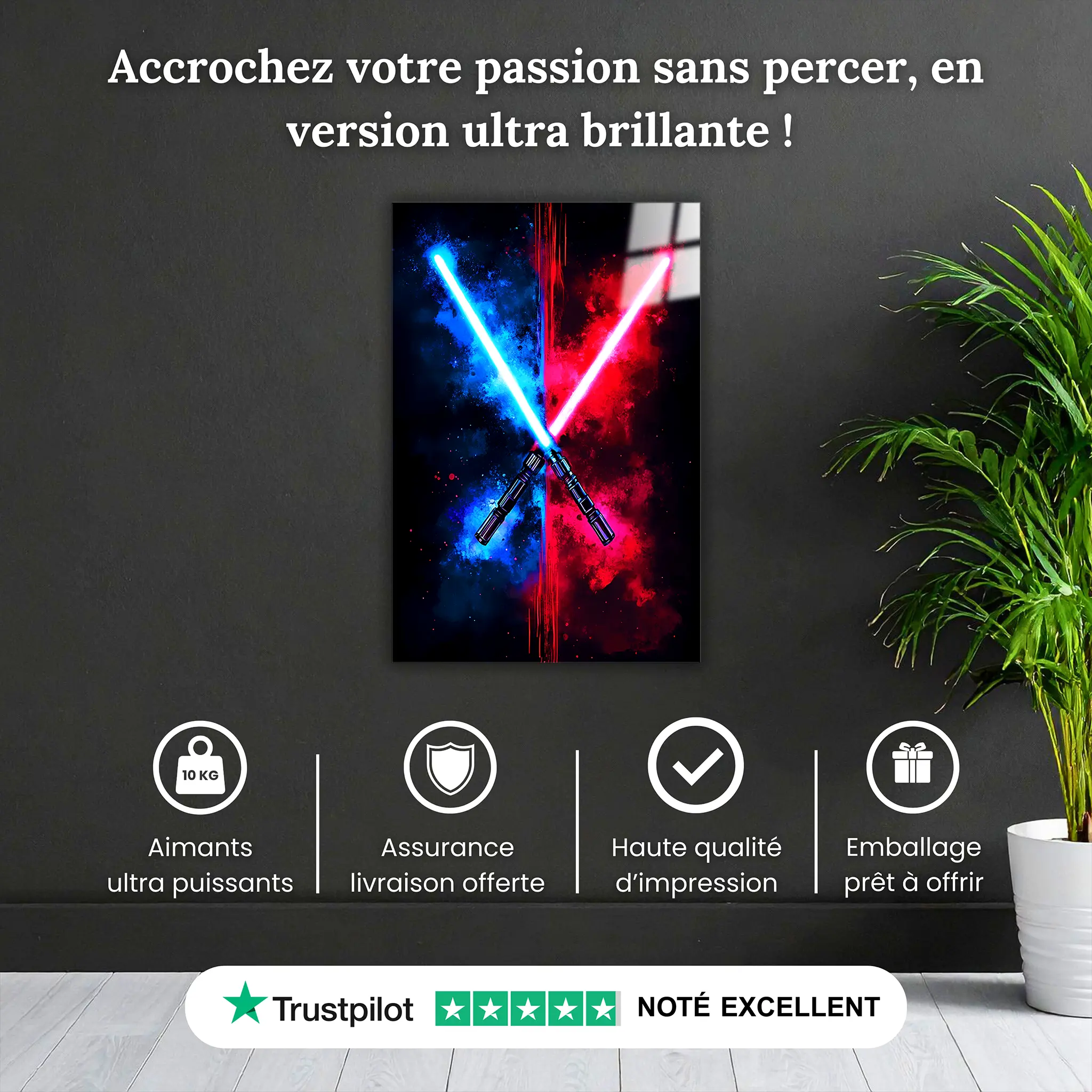 tableau-sabre-laser-pourquoi-acheter | DreamWay