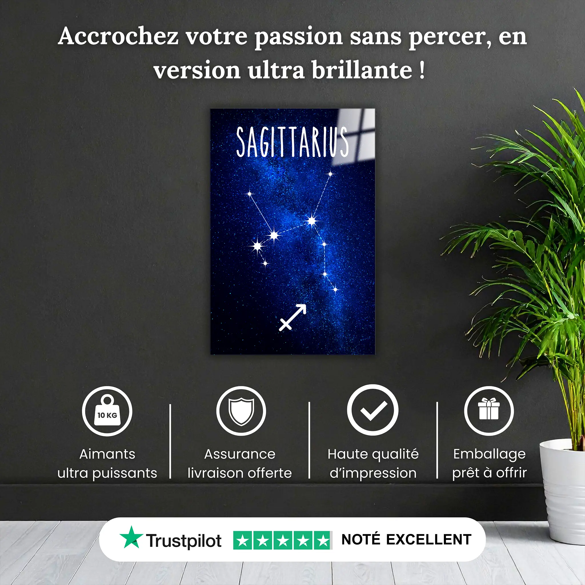 tableau-sagittaire-constellation-pourquoi-acheter | DreamWay