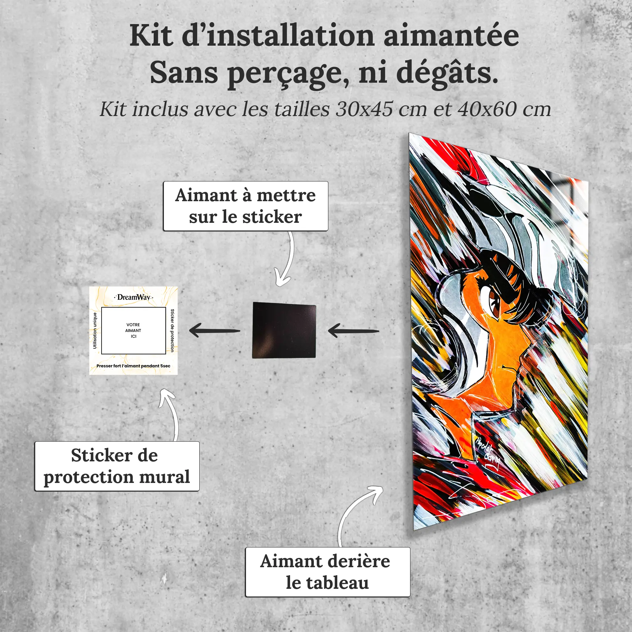 Tableau Saint Seiya Pop Art