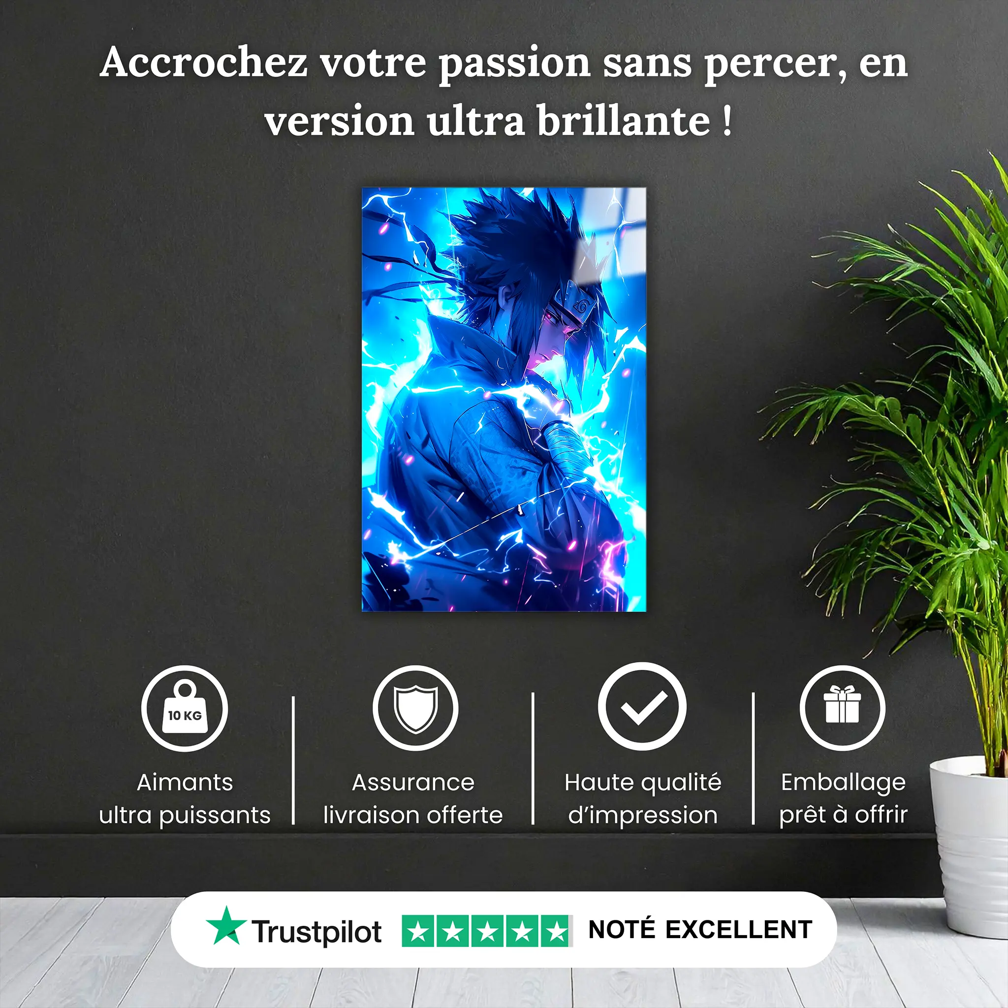 tableau-sasuke-pourquoi-acheter | DreamWay
