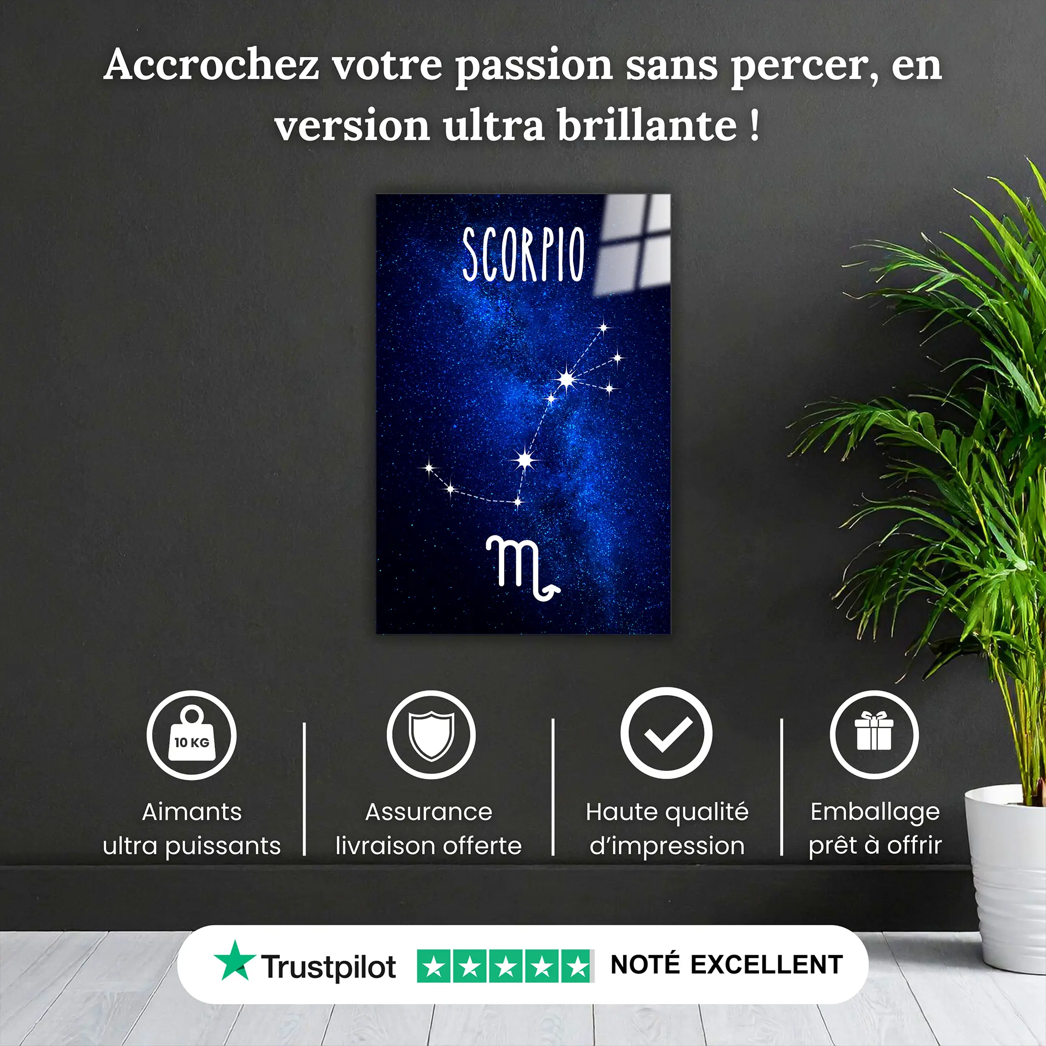 tableau-scorpion-constellation-pourquoi-acheter | DreamWay