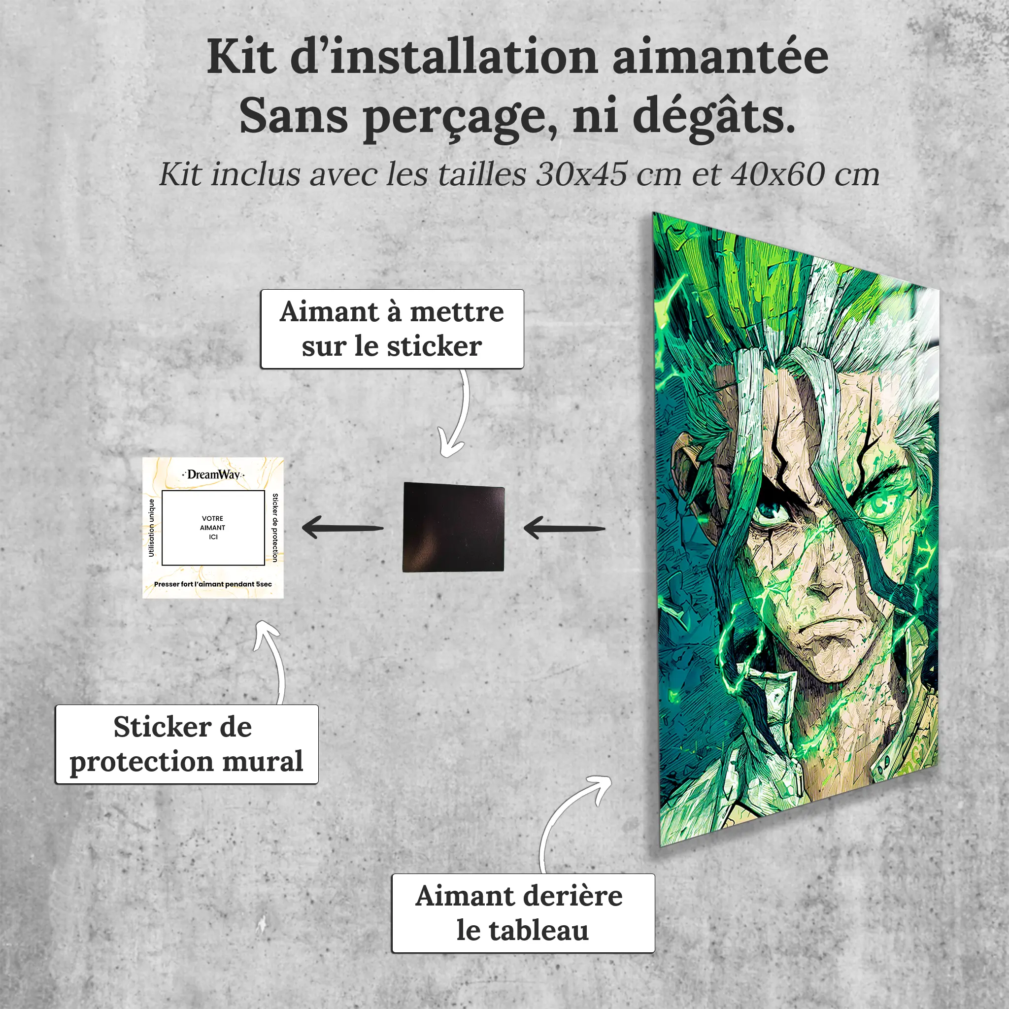 tableau-senku-Dr-Stone-avec-installation-aimantee | DreamWay
