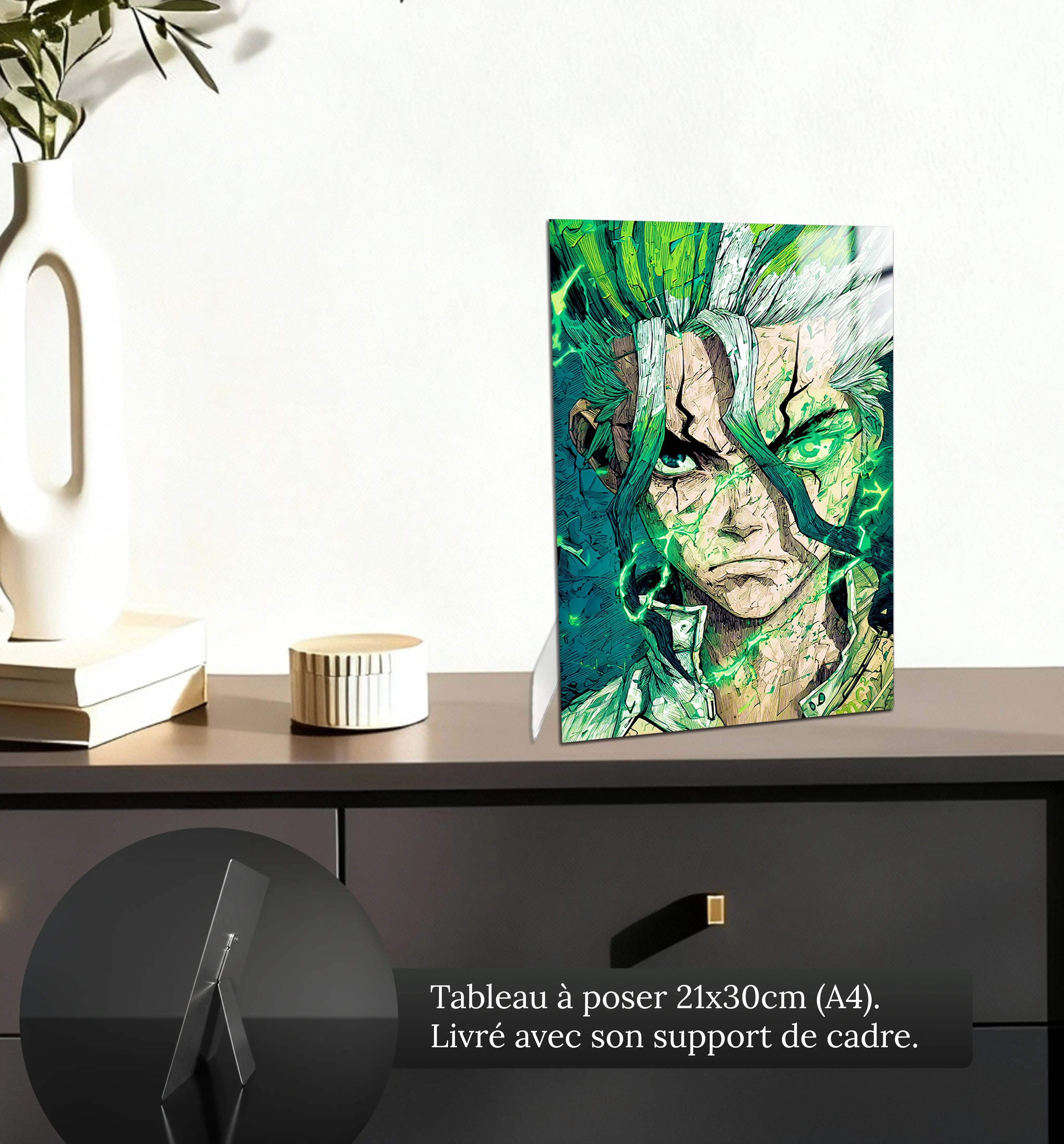 tableau-senku-Dr-Stone-petit-format-a-poser-sur-meuble | DreamWay