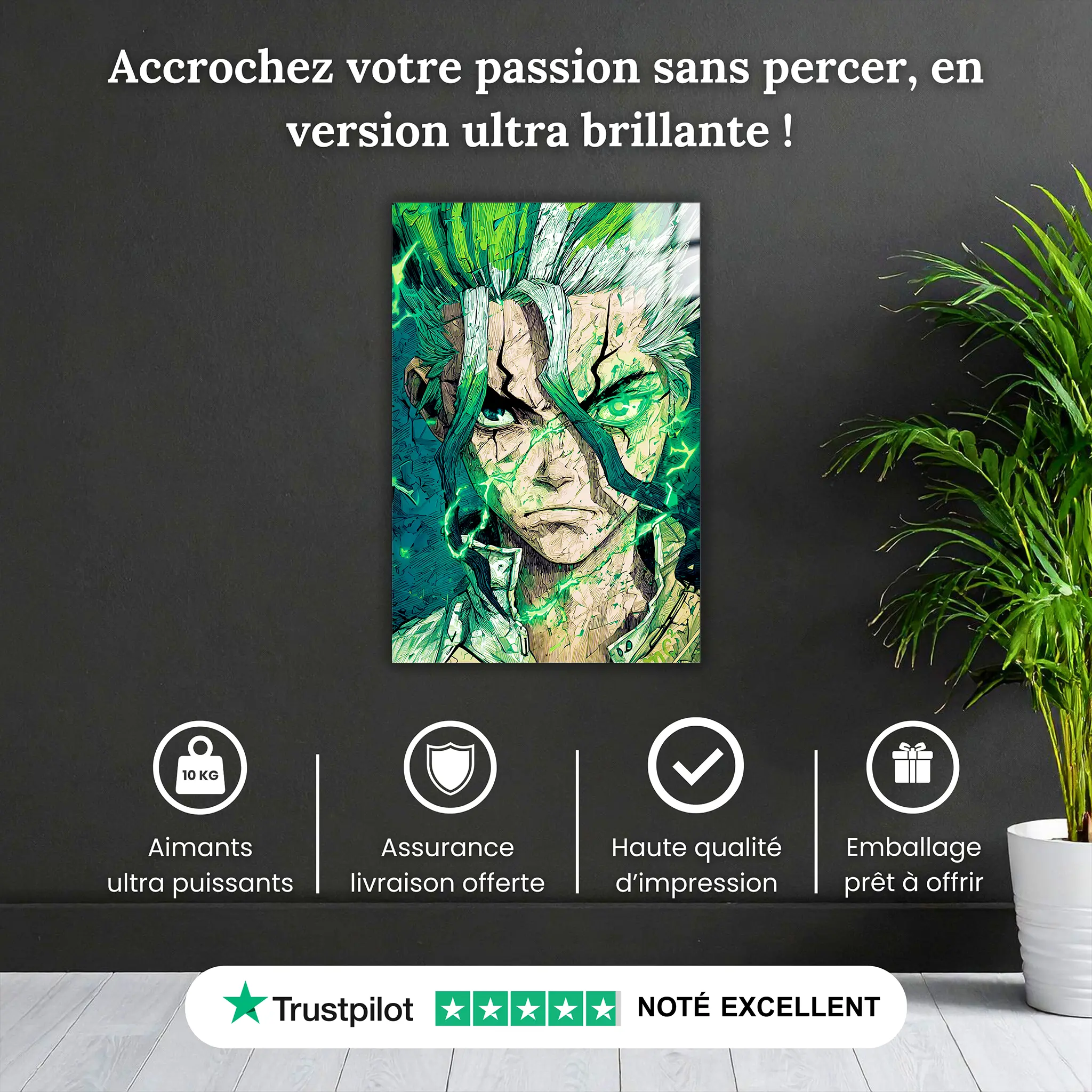 tableau-senku-Dr-Stone-pourquoi-acheter | DreamWay