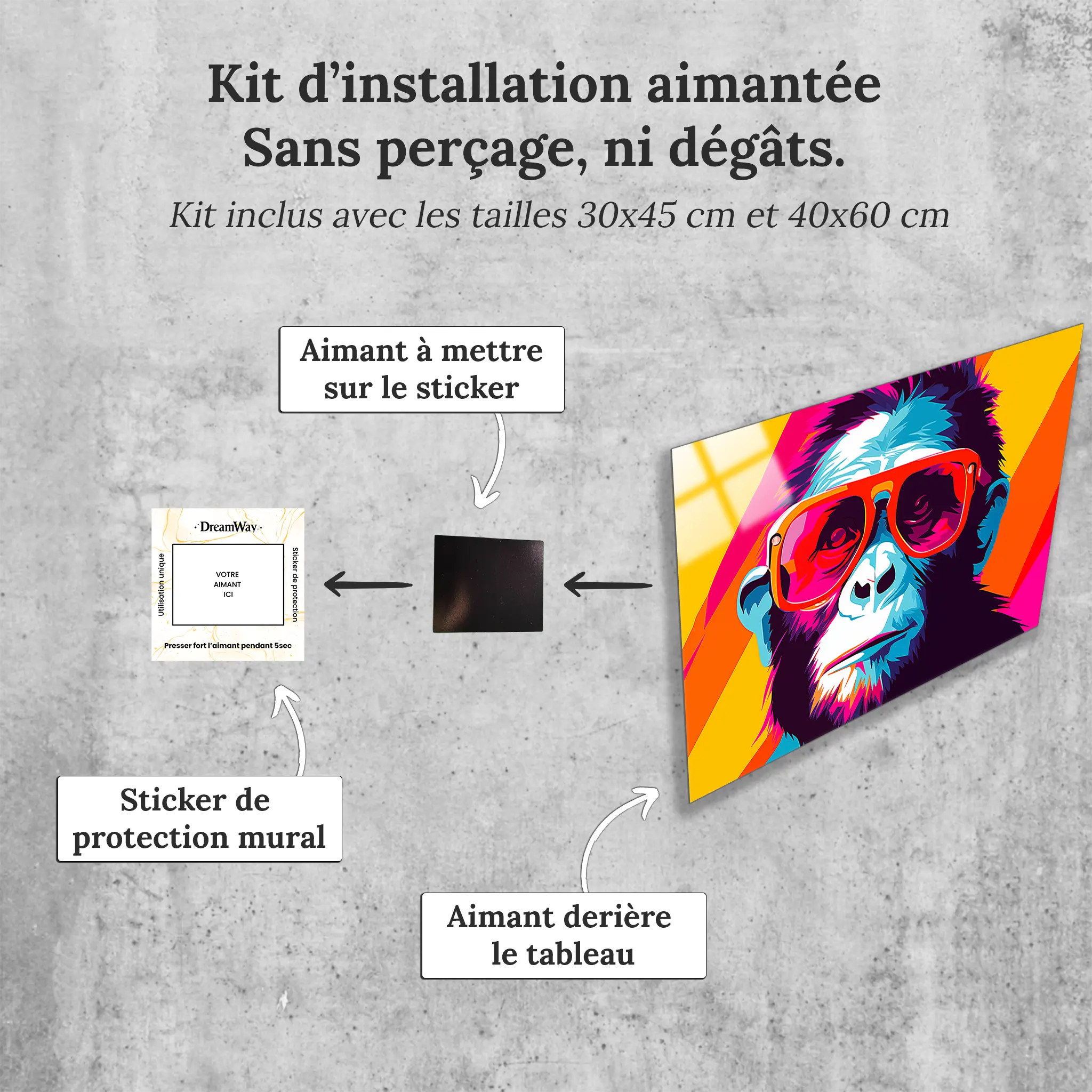 tableau-singe-pop-art-avec-installation-aimantee | DreamWay