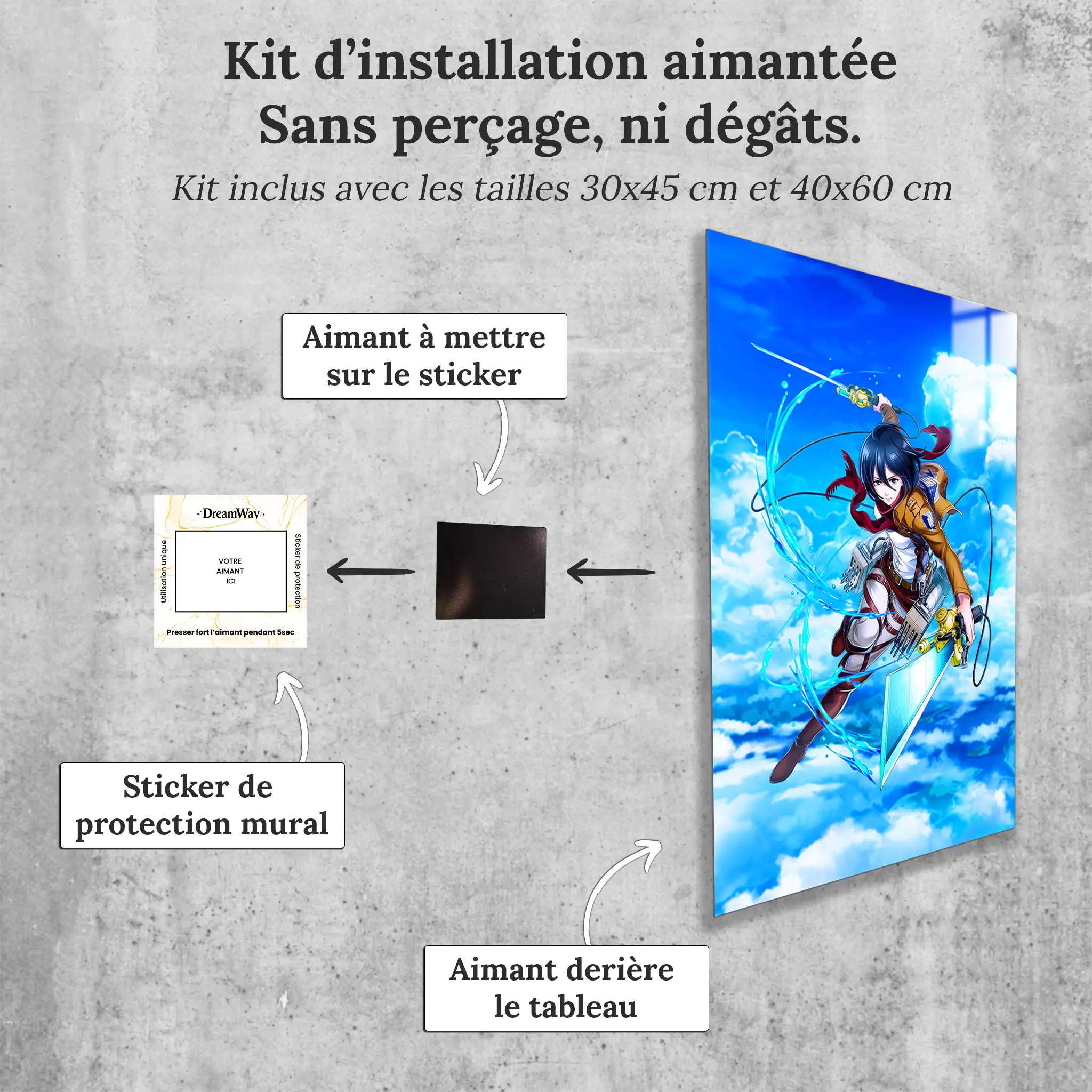 tableau-snk-mikasa-avec-installation-aimantee | DreamWay
