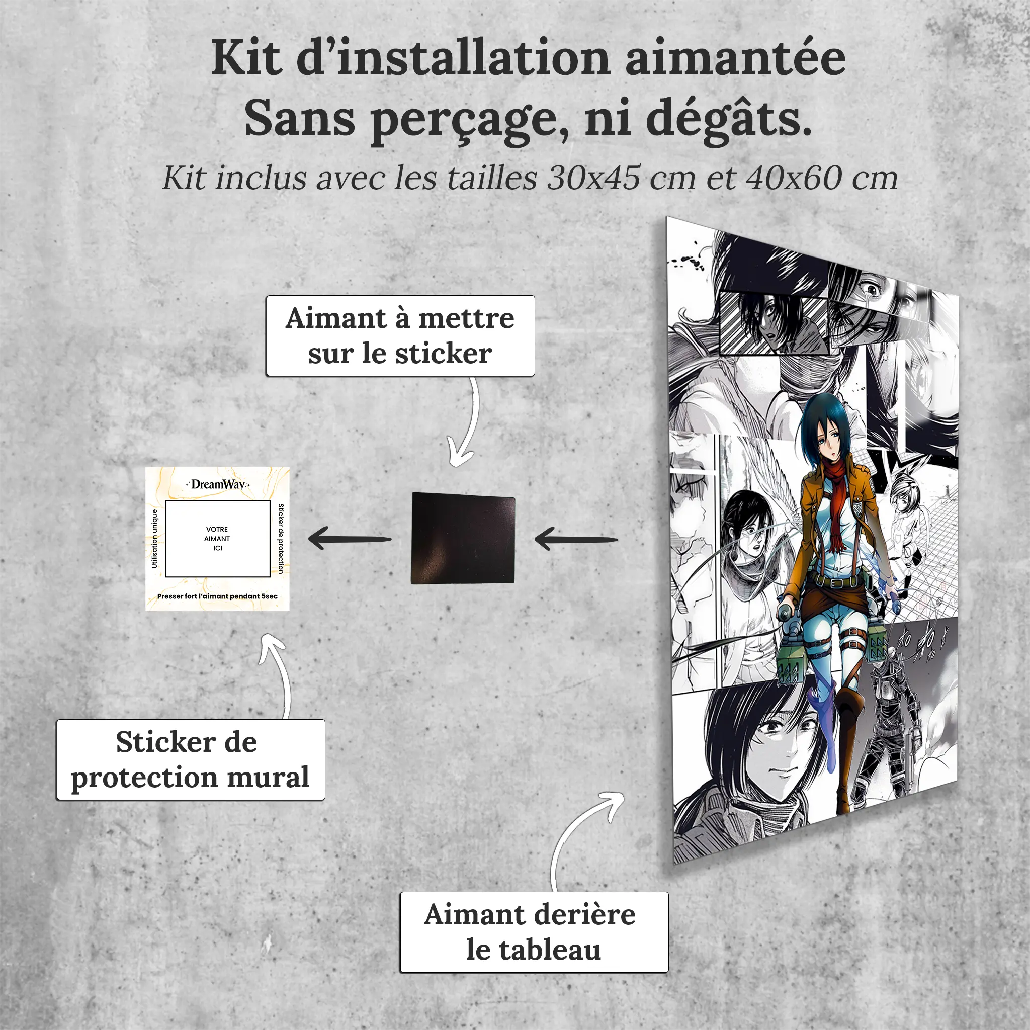 tableau-snk-mikasa-bd-avec-installation-aimantee | DreamWay