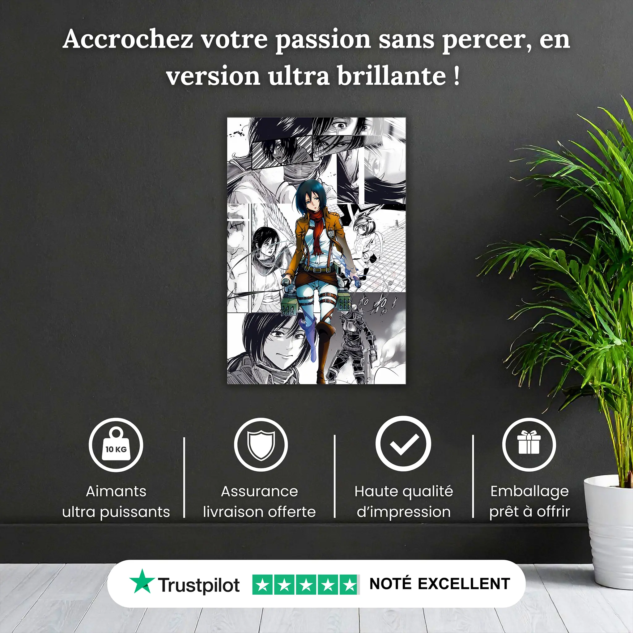 tableau-snk-mikasa-bd-pourquoi-acheter | DreamWay